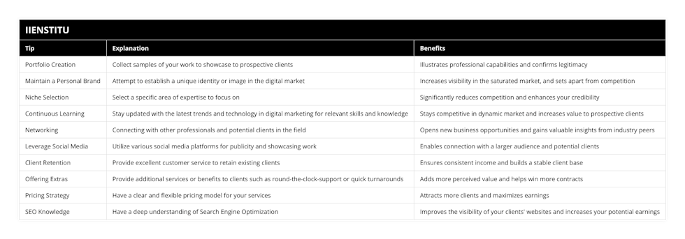 Portfolio Creation, Collect samples of your work to showcase to prospective clients, Illustrates professional capabilities and confirms legitimacy, Maintain a Personal Brand, Attempt to establish a unique identity or image in the digital market, Increases visibility in the saturated market, and sets apart from competition, Niche Selection, Select a specific area of expertise to focus on, Significantly reduces competition and enhances your credibility, Continuous Learning, Stay updated with the latest trends and technology in digital marketing for relevant skills and knowledge, Stays competitive in dynamic market and increases value to prospective clients, Networking, Connecting with other professionals and potential clients in the field, Opens new business opportunities and gains valuable insights from industry peers, Leverage Social Media, Utilize various social media platforms for publicity and showcasing work, Enables connection with a larger audience and potential clients, Client Retention, Provide excellent customer service to retain existing clients, Ensures consistent income and builds a stable client base, Offering Extras, Provide additional services or benefits to clients such as round-the-clock-support or quick turnarounds, Adds more perceived value and helps win more contracts, Pricing Strategy, Have a clear and flexible pricing model for your services, Attracts more clients and maximizes earnings, SEO Knowledge, Have a deep understanding of Search Engine Optimization, Improves the visibility of your clients' websites and increases your potential earnings