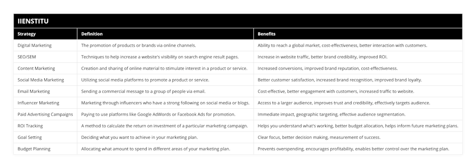 Digital Marketing, The promotion of products or brands via online channels, Ability to reach a global market, cost-effectiveness, better interaction with customers, SEO/SEM, Techniques to help increase a website's visibility on search engine result pages, Increase in website traffic, better brand credibility, improved ROI, Content Marketing, Creation and sharing of online material to stimulate interest in a product or service, Increased conversions, improved brand reputation, cost-effectiveness, Social Media Marketing, Utilizing social media platforms to promote a product or service, Better customer satisfaction, increased brand recognition, improved brand loyalty, Email Marketing, Sending a commercial message to a group of people via email, Cost-effective, better engagement with customers, increased traffic to website, Influencer Marketing, Marketing through influencers who have a strong following on social media or blogs, Access to a larger audience, improves trust and credibility, effectively targets audience, Paid Advertising Campaigns, Paying to use platforms like Google AdWords or Facebook Ads for promotion, Immediate impact, geographic targeting, effective audience segmentation, ROI Tracking, A method to calculate the return on investment of a particular marketing campaign, Helps you understand what's working, better budget allocation, helps inform future marketing plans, Goal Setting, Deciding what you want to achieve in your marketing plan, Clear focus, better decision making, measurement of success, Budget Planning, Allocating what amount to spend in different areas of your marketing plan, Prevents overspending, encourages profitability, enables better control over the marketing plan