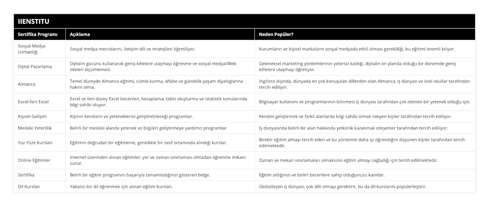 Sosyal Medya Uzmanlığı, Sosyal medya mecralarını, iletişim dili ve stratejileri öğretiliyor, Kurumların ve kişisel markaların sosyal medyada etkili olması gerekliliği, bu eğitimi önemli kılıyor, Dijital Pazarlama, Dijitalin gücünü kullanarak geniş kitlelere ulaşmayı öğrenme ve sosyal medya/Web siteleri ölçümlemesi, Geleneksel marketing yöntemlerinin yetersiz kaldığı, dijitalin ön planda olduğu bir dönemde geniş kitlelere ulaşmayı öğretiyor, Almanca, Temel düzeyde Almanca eğitimi, cümle kurma, alfabe ve gündelik yaşam diyaloglarına hakim olma, İngilizce dışında, dünyada en çok konuşulan dillerden olan Almanca, iş dünyası ve özel okullar tarafından tercih ediliyor, Excel-İleri Excel, Excel ve ileri düzey Excel becerileri, hesaplama, tablo oluşturma ve istatistik konularında bilgi sahibi oluyor, Bilgisayar kullanımı ve programlarının bilinmesi iş dünyası tarafından çok istenen bir yetenek olduğu için, Kişisel Gelişim, Kişinin kendisini ve yeteneklerini geliştirebileceği programlar, Kendini geliştirmek ve farklı alanlarda bilgi sahibi olmak isteyen kişiler tarafından tercih ediliyor, Mesleki Yeterlilik, Belirli bir mesleki alanda yetenek ve bilgileri geliştirmeye yardımcı programlar, İş dünyasında belirli bir alan hakkında yetkinlik kazanmak isteyenler tarafından tercih ediliyor, Yüz Yüze Kursları, Eğitimin doğrudan bir eğitmenle, genellikle bir sınıf ortamında alındığı kurslar, Birebir eğitim almayı tercih eden ve bu yöntemle daha iyi öğrendiğini düşünen kişiler tarafından tercih edilmektedir, Online Eğitimler, İnternet üzerinden alınan eğitimler, yer ve zaman sınırlaması olmadan öğrenme imkanı sunar, Zaman ve mekan sınırlamaları olmaksızın eğitim almayı sağladığı için tercih edilmektedir, Sertifika, Belirli bir eğitim programını başarıyla tamamladığınızı gösteren belge, Eğitim aldığınızı ve belirli becerilere sahip olduğunuzu kanıtlar, Dil Kursları, Yabancı bir dil öğrenmek için alınan eğitim kursları, Globalleşen iş dünyası, çok dilli olmayı gerektirir, bu da dil kurslarını popülerleştirir