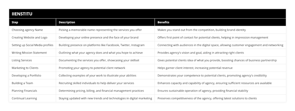 Choosing agency Name, Picking a memorable name representing the services you offer, Makes you stand out from the competition, building brand identity, Creating Website and Logo, Developing your online presence and the face of your brand, Offers first point of contact for potential clients, helping in impression management, Setting up Social Media profiles, Building presence on platforms like Facebook, Twitter, Instagram, Connecting with audiences in the digital space, allowing customer engagement and networking, Writing Mission Statement, Outlining what your agency does and what you hope to achieve, Provides agency's vision and goal, aiding in attracting right clients, Listing Services, Documenting the services you offer, showcasing your skillset, Gives potential clients idea of what you provide, boosting chances of business partnership, Marketing to Clients, Promoting your agency to potential client network, Helps garner client interest, increasing potential revenue, Developing a Portfolio, Collecting examples of your work to illustrate your abilities, Demonstrates your competence to potential clients, promoting agency's credibility, Building a Team, Recruiting skilled individuals to help deliver your services, Enhances capacity and capability of agency, ensuring sufficient resources are available, Planning Financials, Determining pricing, billing, and financial management practices, Ensures sustainable operation of agency, providing financial stability, Continual Learning, Staying updated with new trends and technologies in digital marketing, Preserves competitiveness of the agency, offering latest solutions to clients