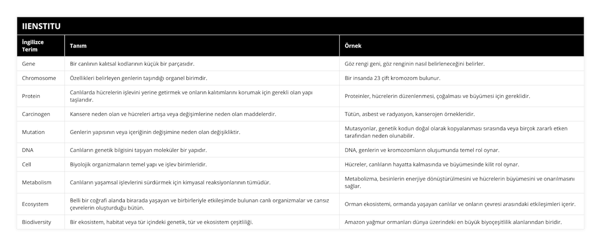 Gene, Bir canlının kalıtsal kodlarının küçük bir parçasıdır, Göz rengi geni, göz renginin nasıl belirleneceğini belirler, Chromosome, Özellikleri belirleyen genlerin taşındığı organel birimdir, Bir insanda 23 çift kromozom bulunur, Protein, Canlılarda hücrelerin işlevini yerine getirmek ve onların kalıtımlarını korumak için gerekli olan yapı taşlarıdır, Proteinler, hücrelerin düzenlenmesi, çoğalması ve büyümesi için gereklidir, Carcinogen, Kansere neden olan ve hücreleri artışa veya değişimlerine neden olan maddelerdir, Tütün, asbest ve radyasyon, kanserojen örnekleridir, Mutation, Genlerin yapısının veya içeriğinin değişimine neden olan değişikliktir, Mutasyonlar, genetik kodun doğal olarak kopyalanması sırasında veya birçok zararlı etken tarafından neden olunabilir, DNA, Canlıların genetik bilgisini taşıyan moleküler bir yapıdır, DNA, genlerin ve kromozomların oluşumunda temel rol oynar, Cell, Biyolojik organizmaların temel yapı ve işlev birimleridir, Hücreler, canlıların hayatta kalmasında ve büyümesinde kilit rol oynar, Metabolism, Canlıların yaşamsal işlevlerini sürdürmek için kimyasal reaksiyonlarının tümüdür, Metabolizma, besinlerin enerjiye dönüştürülmesini ve hücrelerin büyümesini ve onarılmasını sağlar, Ecosystem, Belli bir coğrafi alanda birarada yaşayan ve birbirleriyle etkileşimde bulunan canlı organizmalar ve cansız çevrelerin oluşturduğu bütün, Orman ekosistemi, ormanda yaşayan canlılar ve onların çevresi arasındaki etkileşimleri içerir, Biodiversity, Bir ekosistem, habitat veya tür içindeki genetik, tür ve ekosistem çeşitliliği, Amazon yağmur ormanları dünya üzerindeki en büyük biyoçeşitlilik alanlarından biridir