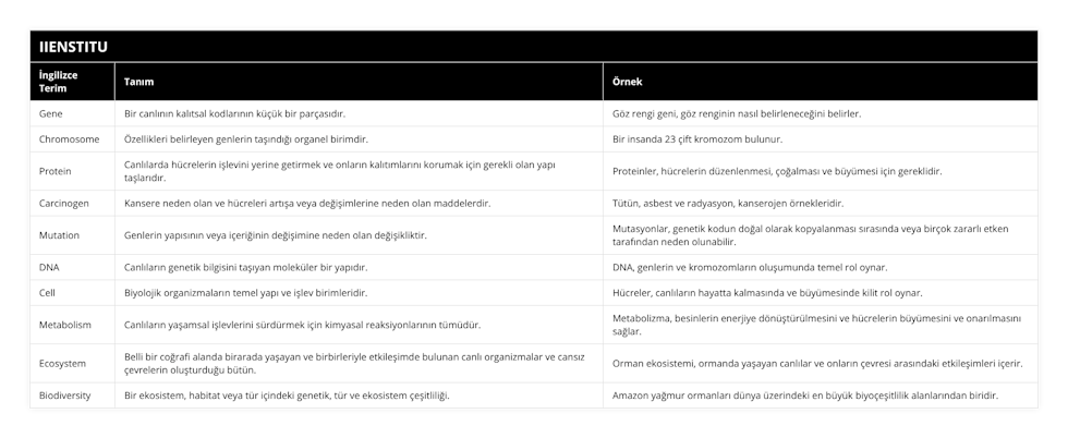 Gene, Bir canlının kalıtsal kodlarının küçük bir parçasıdır, Göz rengi geni, göz renginin nasıl belirleneceğini belirler, Chromosome, Özellikleri belirleyen genlerin taşındığı organel birimdir, Bir insanda 23 çift kromozom bulunur, Protein, Canlılarda hücrelerin işlevini yerine getirmek ve onların kalıtımlarını korumak için gerekli olan yapı taşlarıdır, Proteinler, hücrelerin düzenlenmesi, çoğalması ve büyümesi için gereklidir, Carcinogen, Kansere neden olan ve hücreleri artışa veya değişimlerine neden olan maddelerdir, Tütün, asbest ve radyasyon, kanserojen örnekleridir, Mutation, Genlerin yapısının veya içeriğinin değişimine neden olan değişikliktir, Mutasyonlar, genetik kodun doğal olarak kopyalanması sırasında veya birçok zararlı etken tarafından neden olunabilir, DNA, Canlıların genetik bilgisini taşıyan moleküler bir yapıdır, DNA, genlerin ve kromozomların oluşumunda temel rol oynar, Cell, Biyolojik organizmaların temel yapı ve işlev birimleridir, Hücreler, canlıların hayatta kalmasında ve büyümesinde kilit rol oynar, Metabolism, Canlıların yaşamsal işlevlerini sürdürmek için kimyasal reaksiyonlarının tümüdür, Metabolizma, besinlerin enerjiye dönüştürülmesini ve hücrelerin büyümesini ve onarılmasını sağlar, Ecosystem, Belli bir coğrafi alanda birarada yaşayan ve birbirleriyle etkileşimde bulunan canlı organizmalar ve cansız çevrelerin oluşturduğu bütün, Orman ekosistemi, ormanda yaşayan canlılar ve onların çevresi arasındaki etkileşimleri içerir, Biodiversity, Bir ekosistem, habitat veya tür içindeki genetik, tür ve ekosistem çeşitliliği, Amazon yağmur ormanları dünya üzerindeki en büyük biyoçeşitlilik alanlarından biridir