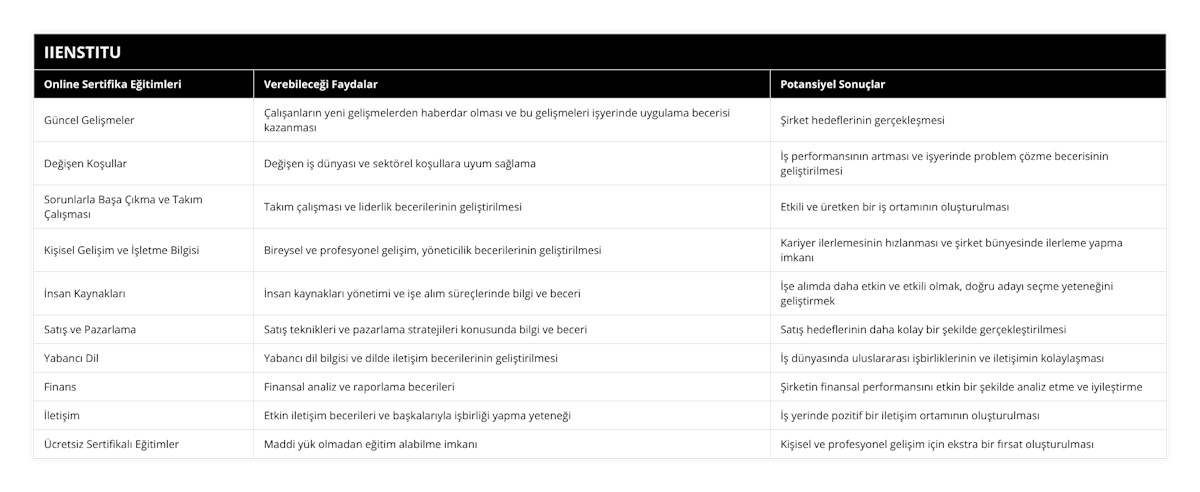Güncel Gelişmeler, Çalışanların yeni gelişmelerden haberdar olması ve bu gelişmeleri işyerinde uygulama becerisi kazanması, Şirket hedeflerinin gerçekleşmesi, Değişen Koşullar, Değişen iş dünyası ve sektörel koşullara uyum sağlama, İş performansının artması ve işyerinde problem çözme becerisinin geliştirilmesi, Sorunlarla Başa Çıkma ve Takım Çalışması, Takım çalışması ve liderlik becerilerinin geliştirilmesi, Etkili ve üretken bir iş ortamının oluşturulması, Kişisel Gelişim ve İşletme Bilgisi, Bireysel ve profesyonel gelişim, yöneticilik becerilerinin geliştirilmesi, Kariyer ilerlemesinin hızlanması ve şirket bünyesinde ilerleme yapma imkanı, İnsan Kaynakları, İnsan kaynakları yönetimi ve işe alım süreçlerinde bilgi ve beceri, İşe alımda daha etkin ve etkili olmak, doğru adayı seçme yeteneğini geliştirmek, Satış ve Pazarlama, Satış teknikleri ve pazarlama stratejileri konusunda bilgi ve beceri, Satış hedeflerinin daha kolay bir şekilde gerçekleştirilmesi, Yabancı Dil, Yabancı dil bilgisi ve dilde iletişim becerilerinin geliştirilmesi, İş dünyasında uluslararası işbirliklerinin ve iletişimin kolaylaşması, Finans, Finansal analiz ve raporlama becerileri, Şirketin finansal performansını etkin bir şekilde analiz etme ve iyileştirme, İletişim, Etkin iletişim becerileri ve başkalarıyla işbirliği yapma yeteneği, İş yerinde pozitif bir iletişim ortamının oluşturulması, Ücretsiz Sertifikalı Eğitimler, Maddi yük olmadan eğitim alabilme imkanı, Kişisel ve profesyonel gelişim için ekstra bir fırsat oluşturulması