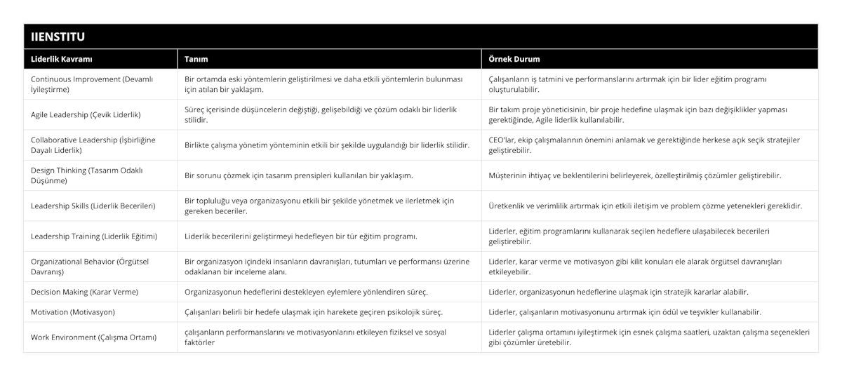 Continuous Improvement (Devamlı İyileştirme), Bir ortamda eski yöntemlerin geliştirilmesi ve daha etkili yöntemlerin bulunması için atılan bir yaklaşım, Çalışanların iş tatmini ve performanslarını artırmak için bir lider eğitim programı oluşturulabilir, Agile Leadership (Çevik Liderlik), Süreç içerisinde düşüncelerin değiştiği, gelişebildiği ve çözüm odaklı bir liderlik stilidir, Bir takım proje yöneticisinin, bir proje hedefine ulaşmak için bazı değişiklikler yapması gerektiğinde, Agile liderlik kullanılabilir, Collaborative Leadership (İşbirliğine Dayalı Liderlik), Birlikte çalışma yönetim yönteminin etkili bir şekilde uygulandığı bir liderlik stilidir, CEO'lar, ekip çalışmalarının önemini anlamak ve gerektiğinde herkese açık seçik stratejiler geliştirebilir, Design Thinking (Tasarım Odaklı Düşünme), Bir sorunu çözmek için tasarım prensipleri kullanılan bir yaklaşım, Müşterinin ihtiyaç ve beklentilerini belirleyerek, özelleştirilmiş çözümler geliştirebilir, Leadership Skills (Liderlik Becerileri), Bir topluluğu veya organizasyonu etkili bir şekilde yönetmek ve ilerletmek için gereken beceriler, Üretkenlik ve verimlilik artırmak için etkili iletişim ve problem çözme yetenekleri gereklidir, Leadership Training (Liderlik Eğitimi), Liderlik becerilerini geliştirmeyi hedefleyen bir tür eğitim programı, Liderler, eğitim programlarını kullanarak seçilen hedeflere ulaşabilecek becerileri geliştirebilir, Organizational Behavior (Örgütsel Davranış), Bir organizasyon içindeki insanların davranışları, tutumları ve performansı üzerine odaklanan bir inceleme alanı, Liderler, karar verme ve motivasyon gibi kilit konuları ele alarak örgütsel davranışları etkileyebilir, Decision Making (Karar Verme), Organizasyonun hedeflerini destekleyen eylemlere yönlendiren süreç, Liderler, organizasyonun hedeflerine ulaşmak için stratejik kararlar alabilir, Motivation (Motivasyon), Çalışanları belirli bir hedefe ulaşmak için harekete geçiren psikolojik süreç, Liderler, çalışanların motivasyonunu artırmak için ödül ve teşvikler kullanabilir, Work Environment (Çalışma Ortamı), çalışanların performanslarını ve motivasyonlarını etkileyen fiziksel ve sosyal faktörler, Liderler çalışma ortamını iyileştirmek için esnek çalışma saatleri, uzaktan çalışma seçenekleri gibi çözümler üretebilir
