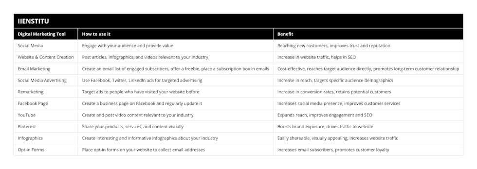 Social Media, Engage with your audience and provide value, Reaching new customers, improves trust and reputation, Website & Content Creation, Post articles, infographics, and videos relevant to your industry, Increase in website traffic, helps in SEO, Email Marketing, Create an email list of engaged subscribers, offer a freebie, place a subscription box in emails, Cost-effective, reaches target audience directly, promotes long-term customer relationship, Social Media Advertising, Use Facebook, Twitter, LinkedIn ads for targeted advertising, Increase in reach, targets specific audience demographics, Remarketing, Target ads to people who have visited your website before, Increase in conversion rates, retains potential customers, Facebook Page, Create a business page on Facebook and regularly update it, Increases social media presence, improves customer services, YouTube, Create and post video content relevant to your industry, Expands reach, improves engagement and SEO, Pinterest, Share your products, services, and content visually, Boosts brand exposure, drives traffic to website, Infographics, Create interesting and informative infographics about your industry, Easily shareable, visually appealing, increases website traffic, Opt-in Forms, Place opt-in forms on your website to collect email addresses, Increases email subscribers, promotes customer loyalty