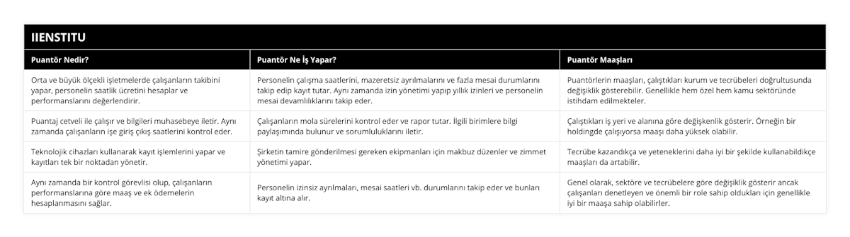 Orta ve büyük ölçekli işletmelerde çalışanların takibini yapar, personelin saatlik ücretini hesaplar ve performanslarını değerlendirir, Personelin çalışma saatlerini, mazeretsiz ayrılmalarını ve fazla mesai durumlarını takip edip kayıt tutar Aynı zamanda izin yönetimi yapıp yıllık izinleri ve personelin mesai devamlılıklarını takip eder, Puantörlerin maaşları, çalıştıkları kurum ve tecrübeleri doğrultusunda değişiklik gösterebilir Genellikle hem özel hem kamu sektöründe istihdam edilmekteler, Puantaj cetveli ile çalışır ve bilgileri muhasebeye iletir Aynı zamanda çalışanların işe giriş çıkış saatlerini kontrol eder, Çalışanların mola sürelerini kontrol eder ve rapor tutar İlgili birimlere bilgi paylaşımında bulunur ve sorumluluklarını iletir, Çalıştıkları iş yeri ve alanına göre değişkenlik gösterir Örneğin bir holdingde çalışıyorsa maaşı daha yüksek olabilir, Teknolojik cihazları kullanarak kayıt işlemlerini yapar ve kayıtları tek bir noktadan yönetir, Şirketin tamire gönderilmesi gereken ekipmanları için makbuz düzenler ve zimmet yönetimi yapar, Tecrübe kazandıkça ve yeteneklerini daha iyi bir şekilde kullanabildikçe maaşları da artabilir, Aynı zamanda bir kontrol görevlisi olup, çalışanların performanslarına göre maaş ve ek ödemelerin hesaplanmasını sağlar, Personelin izinsiz ayrılmaları, mesai saatleri vb durumlarını takip eder ve bunları kayıt altına alır, Genel olarak, sektöre ve tecrübelere göre değişiklik gösterir ancak çalışanları denetleyen ve önemli bir role sahip oldukları için genellikle iyi bir maaşa sahip olabilirler