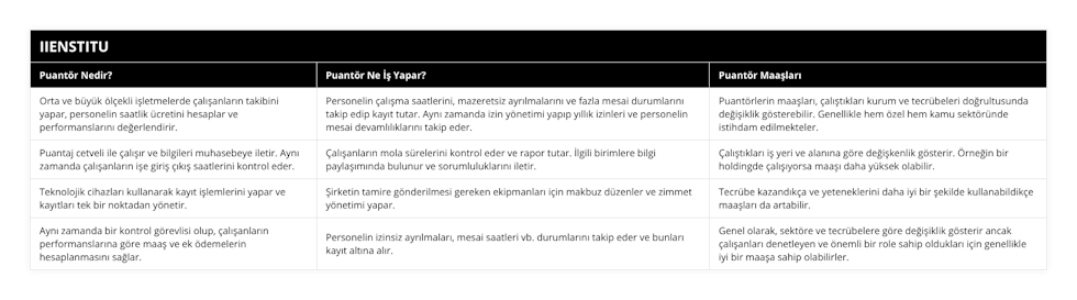 Orta ve büyük ölçekli işletmelerde çalışanların takibini yapar, personelin saatlik ücretini hesaplar ve performanslarını değerlendirir, Personelin çalışma saatlerini, mazeretsiz ayrılmalarını ve fazla mesai durumlarını takip edip kayıt tutar Aynı zamanda izin yönetimi yapıp yıllık izinleri ve personelin mesai devamlılıklarını takip eder, Puantörlerin maaşları, çalıştıkları kurum ve tecrübeleri doğrultusunda değişiklik gösterebilir Genellikle hem özel hem kamu sektöründe istihdam edilmekteler, Puantaj cetveli ile çalışır ve bilgileri muhasebeye iletir Aynı zamanda çalışanların işe giriş çıkış saatlerini kontrol eder, Çalışanların mola sürelerini kontrol eder ve rapor tutar İlgili birimlere bilgi paylaşımında bulunur ve sorumluluklarını iletir, Çalıştıkları iş yeri ve alanına göre değişkenlik gösterir Örneğin bir holdingde çalışıyorsa maaşı daha yüksek olabilir, Teknolojik cihazları kullanarak kayıt işlemlerini yapar ve kayıtları tek bir noktadan yönetir, Şirketin tamire gönderilmesi gereken ekipmanları için makbuz düzenler ve zimmet yönetimi yapar, Tecrübe kazandıkça ve yeteneklerini daha iyi bir şekilde kullanabildikçe maaşları da artabilir, Aynı zamanda bir kontrol görevlisi olup, çalışanların performanslarına göre maaş ve ek ödemelerin hesaplanmasını sağlar, Personelin izinsiz ayrılmaları, mesai saatleri vb durumlarını takip eder ve bunları kayıt altına alır, Genel olarak, sektöre ve tecrübelere göre değişiklik gösterir ancak çalışanları denetleyen ve önemli bir role sahip oldukları için genellikle iyi bir maaşa sahip olabilirler