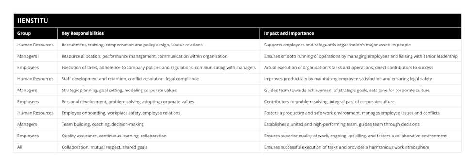 Human Resources, Recruitment, training, compensation and policy design, labour relations, Supports employees and safeguards organization's major asset: its people, Managers, Resource allocation, performance management, communication within organization, Ensures smooth running of operations by managing employees and liaising with senior leadership, Employees, Execution of tasks, adherence to company policies and regulations, communicating with managers, Actual execution of organization's tasks and operations, direct contributors to success, Human Resources, Staff development and retention, conflict resolution, legal compliance, Improves productivity by maintaining employee satisfaction and ensuring legal safety, Managers, Strategic planning, goal setting, modeling corporate values, Guides team towards achievement of strategic goals, sets tone for corporate culture, Employees, Personal development, problem-solving, adopting corporate values, Contributors to problem-solving, integral part of corporate culture, Human Resources, Employee onboarding, workplace safety, employee relations, Fosters a productive and safe work environment, manages employee issues and conflicts, Managers, Team building, coaching, decision-making, Establishes a united and high-performing team, guides team through decisions, Employees, Quality assurance, continuous learning, collaboration, Ensures superior quality of work, ongoing upskilling, and fosters a collaborative environment, All, Collaboration, mutual respect, shared goals, Ensures successful execution of tasks and provides a harmonious work atmosphere