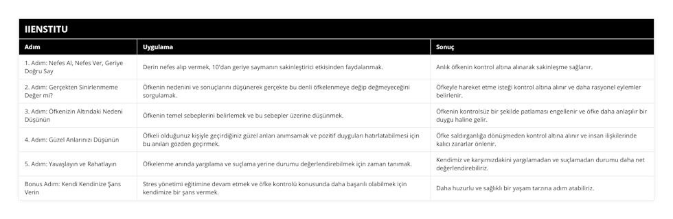 1 Adım: Nefes Al, Nefes Ver, Geriye Doğru Say, Derin nefes alıp vermek, 10'dan geriye saymanın sakinleştirici etkisinden faydalanmak, Anlık öfkenin kontrol altına alınarak sakinleşme sağlanır, 2 Adım: Gerçekten Sinirlenmeme Değer mi?, Öfkenin nedenini ve sonuçlarını düşünerek gerçekte bu denli öfkelenmeye değip değmeyeceğini sorgulamak, Öfkeyle hareket etme isteği kontrol altına alınır ve daha rasyonel eylemler belirlenir, 3 Adım: Öfkenizin Altındaki Nedeni Düşünün, Öfkenin temel sebeplerini belirlemek ve bu sebepler üzerine düşünmek, Öfkenin kontrolsüz bir şekilde patlaması engellenir ve öfke daha anlaşılır bir duygu haline gelir, 4 Adım: Güzel Anlarınızı Düşünün, Öfkeli olduğunuz kişiyle geçirdiğiniz güzel anları anımsamak ve pozitif duyguları hatırlatabilmesi için bu anıları gözden geçirmek, Öfke saldırganlığa dönüşmeden kontrol altına alınır ve insan ilişkilerinde kalıcı zararlar önlenir, 5 Adım: Yavaşlayın ve Rahatlayın, Öfkelenme anında yargılama ve suçlama yerine durumu değerlendirebilmek için zaman tanımak, Kendimiz ve karşımızdakini yargılamadan ve suçlamadan durumu daha net değerlendirebiliriz, Bonus Adım: Kendi Kendinize Şans Verin, Stres yönetimi eğitimine devam etmek ve öfke kontrolü konusunda daha başarılı olabilmek için kendimize bir şans vermek, Daha huzurlu ve sağlıklı bir yaşam tarzına adım atabiliriz