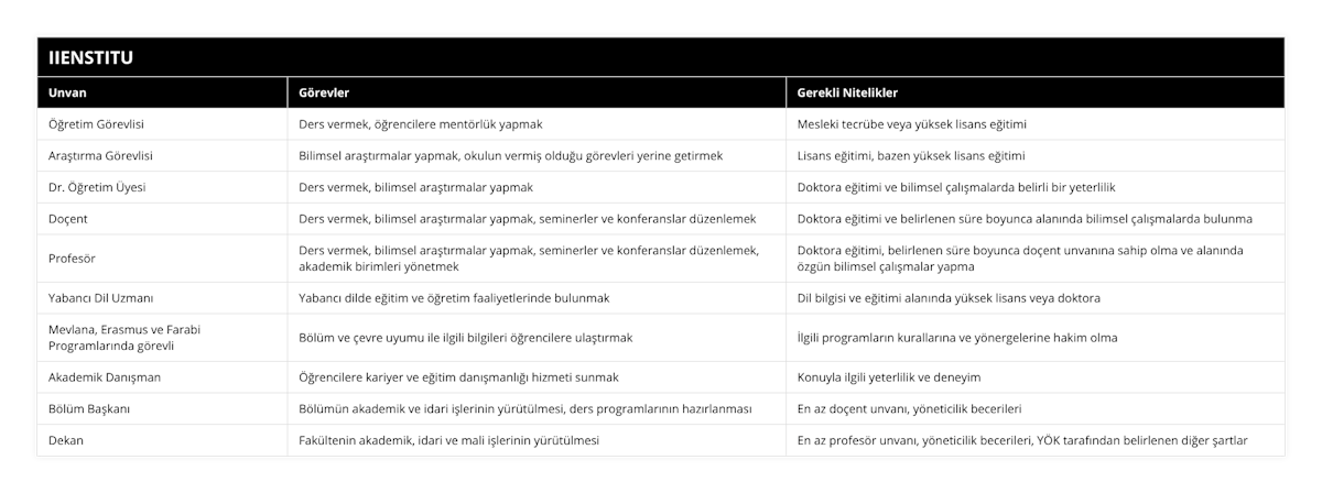 Öğretim Görevlisi, Ders vermek, öğrencilere mentörlük yapmak, Mesleki tecrübe veya yüksek lisans eğitimi, Araştırma Görevlisi, Bilimsel araştırmalar yapmak, okulun vermiş olduğu görevleri yerine getirmek, Lisans eğitimi, bazen yüksek lisans eğitimi, Dr Öğretim Üyesi, Ders vermek, bilimsel araştırmalar yapmak, Doktora eğitimi ve bilimsel çalışmalarda belirli bir yeterlilik, Doçent, Ders vermek, bilimsel araştırmalar yapmak, seminerler ve konferanslar düzenlemek, Doktora eğitimi ve belirlenen süre boyunca alanında bilimsel çalışmalarda bulunma, Profesör, Ders vermek, bilimsel araştırmalar yapmak, seminerler ve konferanslar düzenlemek, akademik birimleri yönetmek, Doktora eğitimi, belirlenen süre boyunca doçent unvanına sahip olma ve alanında özgün bilimsel çalışmalar yapma, Yabancı Dil Uzmanı, Yabancı dilde eğitim ve öğretim faaliyetlerinde bulunmak, Dil bilgisi ve eğitimi alanında yüksek lisans veya doktora, Mevlana, Erasmus ve Farabi Programlarında görevli, Bölüm ve çevre uyumu ile ilgili bilgileri öğrencilere ulaştırmak, İlgili programların kurallarına ve yönergelerine hakim olma, Akademik Danışman, Öğrencilere kariyer ve eğitim danışmanlığı hizmeti sunmak, Konuyla ilgili yeterlilik ve deneyim, Bölüm Başkanı, Bölümün akademik ve idari işlerinin yürütülmesi, ders programlarının hazırlanması, En az doçent unvanı, yöneticilik becerileri, Dekan, Fakültenin akademik, idari ve mali işlerinin yürütülmesi, En az profesör unvanı, yöneticilik becerileri, YÖK tarafından belirlenen diğer şartlar