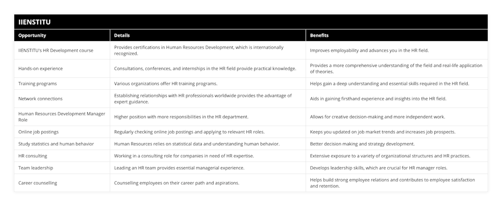 IIENSTITU's HR Development course, Provides certifications in Human Resources Development, which is internationally recognized, Improves employability and advances you in the HR field, Hands-on experience, Consultations, conferences, and internships in the HR field provide practical knowledge, Provides a more comprehensive understanding of the field and real-life application of theories, Training programs, Various organizations offer HR training programs, Helps gain a deep understanding and essential skills required in the HR field, Network connections, Establishing relationships with HR professionals worldwide provides the advantage of expert guidance, Aids in gaining firsthand experience and insights into the HR field, Human Resources Development Manager Role, Higher position with more responsibilities in the HR department, Allows for creative decision-making and more independent work, Online job postings, Regularly checking online job postings and applying to relevant HR roles, Keeps you updated on job market trends and increases job prospects, Study statistics and human behavior, Human Resources relies on statistical data and understanding human behavior, Better decision making and strategy development, HR consulting, Working in a consulting role for companies in need of HR expertise, Extensive exposure to a variety of organizational structures and HR practices, Team leadership, Leading an HR team provides essential managerial experience, Develops leadership skills, which are crucial for HR manager roles, Career counselling, Counselling employees on their career path and aspirations, Helps build strong employee relations and contributes to employee satisfaction and retention
