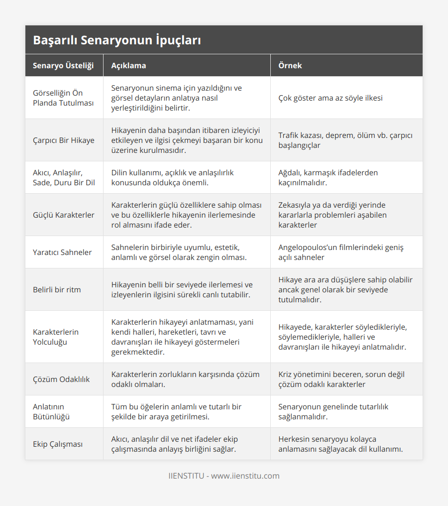 Görselliğin Ön Planda Tutulması, Senaryonun sinema için yazıldığını ve görsel detayların anlatıya nasıl yerleştirildiğini belirtir, Çok göster ama az söyle ilkesi, Çarpıcı Bir Hikaye, Hikayenin daha başından itibaren izleyiciyi etkileyen ve ilgisi çekmeyi başaran bir konu üzerine kurulmasıdır, Trafik kazası, deprem, ölüm vb çarpıcı başlangıçlar, Akıcı, Anlaşılır, Sade, Duru Bir Dil, Dilin kullanımı, açıklık ve anlaşılırlık konusunda oldukça önemli, Ağdalı, karmaşık ifadelerden kaçınılmalıdır, Güçlü Karakterler, Karakterlerin güçlü özelliklere sahip olması ve bu özelliklerle hikayenin ilerlemesinde rol almasını ifade eder, Zekasıyla ya da verdiği yerinde kararlarla problemleri aşabilen karakterler, Yaratıcı Sahneler, Sahnelerin birbiriyle uyumlu, estetik, anlamlı ve görsel olarak zengin olması, Angelopoulos’un filmlerindeki geniş açılı sahneler, Belirli bir ritm, Hikayenin belli bir seviyede ilerlemesi ve izleyenlerin ilgisini sürekli canlı tutabilir, Hikaye ara ara düşüşlere sahip olabilir ancak genel olarak bir seviyede tutulmalıdır, Karakterlerin Yolculuğu, Karakterlerin hikayeyi anlatmaması, yani kendi halleri, hareketleri, tavrı ve davranışları ile hikayeyi göstermeleri gerekmektedir, Hikayede, karakterler söyledikleriyle, söylemedikleriyle, halleri ve davranışları ile hikayeyi anlatmalıdır, Çözüm Odaklılık, Karakterlerin zorlukların karşısında çözüm odaklı olmaları, Kriz yönetimini beceren, sorun değil çözüm odaklı karakterler, Anlatının Bütünlüğü, Tüm bu öğelerin anlamlı ve tutarlı bir şekilde bir araya getirilmesi, Senaryonun genelinde tutarlılık sağlanmalıdır, Ekip Çalışması, Akıcı, anlaşılır dil ve net ifadeler ekip çalışmasında anlayış birliğini sağlar, Herkesin senaryoyu kolayca anlamasını sağlayacak dil kullanımı