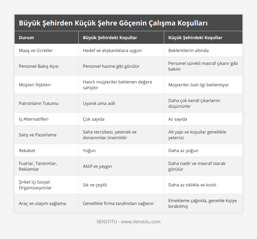 Maaş ve Ücretler, Hedef ve alışkanlıklara uygun, Beklentilerin altında, Personel Bakış Açısı, Personel hazine gibi görülür, Personel sürekli masraf çıkarır gibi bakılır, Müşteri İlişkileri, Hatırlı müşteriler beklenen değere sahiptir, Müşteriler özel ilgi beklemiyor, Patronların Tutumu, Uyanık ama adil, Daha çok kendi çıkarlarını düşünürler, İş Alternatifleri, Çok sayıda, Az sayıda, Satış ve Pazarlama, Saha tecrübesi, yetenek ve donanımlar önemlidir, Alt yapı ve koşullar genellikle yetersiz, Rekabet, Yoğun, Daha az yoğun, Fuarlar, Tanıtımlar, Reklamlar, Aktif ve yaygın, Daha nadir ve masraf olarak görülür, Şirket İçi Sosyal Organizasyonlar, Sık ve çeşitli, Daha az sıklıkla ve kısıtlı, Araç ve ulaşım sağlama, Genellikle firma tarafından sağlanır, Emekleme çağında, genelde kişiye bırakılmış