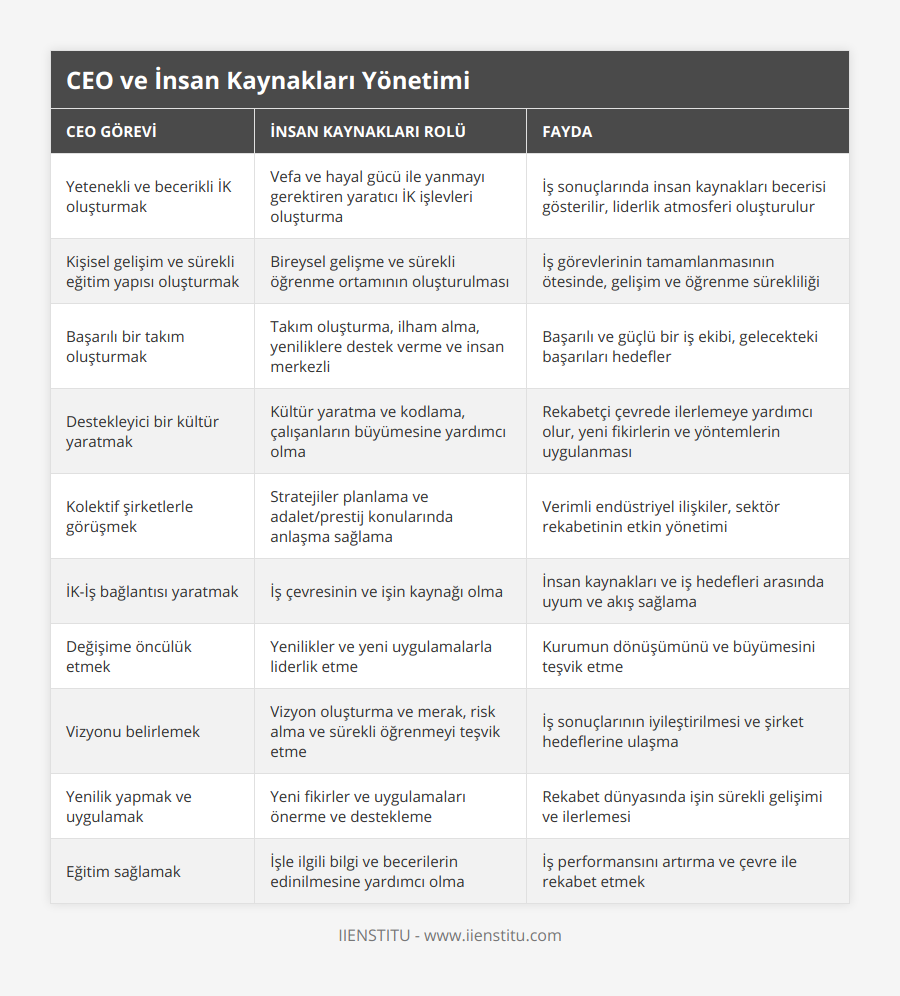 Yetenekli ve becerikli İK oluşturmak, Vefa ve hayal gücü ile yanmayı gerektiren yaratıcı İK işlevleri oluşturma, İş sonuçlarında insan kaynakları becerisi gösterilir, liderlik atmosferi oluşturulur, Kişisel gelişim ve sürekli eğitim yapısı oluşturmak, Bireysel gelişme ve sürekli öğrenme ortamının oluşturulması, İş görevlerinin tamamlanmasının ötesinde, gelişim ve öğrenme sürekliliği, Başarılı bir takım oluşturmak, Takım oluşturma, ilham alma, yeniliklere destek verme ve insan merkezli, Başarılı ve güçlü bir iş ekibi, gelecekteki başarıları hedefler, Destekleyici bir kültür yaratmak, Kültür yaratma ve kodlama, çalışanların büyümesine yardımcı olma, Rekabetçi çevrede ilerlemeye yardımcı olur, yeni fikirlerin ve yöntemlerin uygulanması, Kolektif şirketlerle görüşmek, Stratejiler planlama ve adalet/prestij konularında anlaşma sağlama, Verimli endüstriyel ilişkiler, sektör rekabetinin etkin yönetimi, İK-İş bağlantısı yaratmak, İş çevresinin ve işin kaynağı olma, İnsan kaynakları ve iş hedefleri arasında uyum ve akış sağlama, Değişime öncülük etmek, Yenilikler ve yeni uygulamalarla liderlik etme, Kurumun dönüşümünü ve büyümesini teşvik etme, Vizyonu belirlemek, Vizyon oluşturma ve merak, risk alma ve sürekli öğrenmeyi teşvik etme, İş sonuçlarının iyileştirilmesi ve şirket hedeflerine ulaşma, Yenilik yapmak ve uygulamak, Yeni fikirler ve uygulamaları önerme ve destekleme, Rekabet dünyasında işin sürekli gelişimi ve ilerlemesi, Eğitim sağlamak, İşle ilgili bilgi ve becerilerin edinilmesine yardımcı olma, İş performansını artırma ve çevre ile rekabet etmek