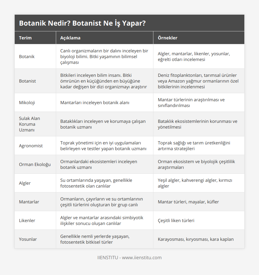 Botanik, Canlı organizmaların bir dalını inceleyen bir biyoloji bilimi Bitki yaşamının bilimsel çalışması, Algler, mantarlar, likenler, yosunlar, eğrelti otları incelemesi, Botanist, Bitkileri inceleyen bilim insanı Bitki ömrünün en küçüğünden en büyüğüne kadar değişen bir dizi organizmayı araştırır, Deniz fitoplanktonları, tarımsal ürünler veya Amazon yağmur ormanlarının özel bitkilerinin incelenmesi, Mikoloji, Mantarları inceleyen botanik alanı, Mantar türlerinin araştırılması ve sınıflandırılması, Sulak Alan Koruma Uzmanı, Bataklıkları inceleyen ve korumaya çalışan botanik uzmanı, Bataklık ekosistemlerinin korunması ve yönetilmesi, Agronomist, Toprak yönetimi için en iyi uygulamaları belirleyen ve testler yapan botanik uzmanı, Toprak sağlığı ve tarım üretkenliğini artırma stratejileri, Orman Ekoloğu, Ormanlardaki ekosistemleri inceleyen botanik uzmanı, Orman ekosistem ve biyolojik çeşitlilik araştırmaları, Algler, Su ortamlarında yaşayan, genellikle fotosentetik olan canlılar, Yeşil algler, kahverengi algler, kırmızı algler, Mantarlar, Ormanların, çayırların ve su ortamlarının çeşitli türlerini oluşturan bir grup canlı, Mantar türleri, mayalar, küfler, Likenler, Algler ve mantarlar arasındaki simbiyotik ilişkiler sonucu oluşan canlılar, Çeşitli liken türleri, Yosunlar, Genellikle nemli yerlerde yaşayan, fotosentetik bitkisel türler, Karayosması, kıryosması, kara kaplan