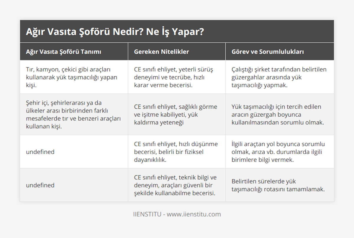 Tır, kamyon, çekici gibi araçları kullanarak yük taşımacılığı yapan kişi, CE sınıfı ehliyet, yeterli sürüş deneyimi ve tecrübe, hızlı karar verme becerisi, Çalıştığı şirket tarafından belirtilen güzergahlar arasında yük taşımacılığı yapmak, Şehir içi, şehirlerarası ya da ülkeler arası birbirinden farklı mesafelerde tır ve benzeri araçları kullanan kişi, CE sınıfı ehliyet, sağlıklı görme ve işitme kabiliyeti, yük kaldırma yeteneği, Yük taşımacılığı için tercih edilen aracın güzergah boyunca kullanılmasından sorumlu olmak, Ticari amaçlı olarak büyük araçları kullanan kişi, CE sınıfı ehliyet, hızlı düşünme becerisi, belirli bir fiziksel dayanıklılık, İlgili araçtan yol boyunca sorumlu olmak, arıza vb durumlarda ilgili birimlere bilgi vermek, Büyük nakliye ve lojistik firmalarına hizmet veren araç kullanıcısı, CE sınıfı ehliyet, teknik bilgi ve deneyim, araçları güvenli bir şekilde kullanabilme becerisi, Belirtilen sürelerde yük taşımacılığı rotasını tamamlamak