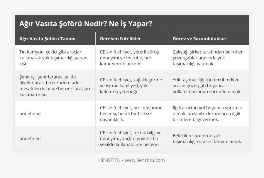 Tır, kamyon, çekici gibi araçları kullanarak yük taşımacılığı yapan kişi, CE sınıfı ehliyet, yeterli sürüş deneyimi ve tecrübe, hızlı karar verme becerisi, Çalıştığı şirket tarafından belirtilen güzergahlar arasında yük taşımacılığı yapmak, Şehir içi, şehirlerarası ya da ülkeler arası birbirinden farklı mesafelerde tır ve benzeri araçları kullanan kişi, CE sınıfı ehliyet, sağlıklı görme ve işitme kabiliyeti, yük kaldırma yeteneği, Yük taşımacılığı için tercih edilen aracın güzergah boyunca kullanılmasından sorumlu olmak, Ticari amaçlı olarak büyük araçları kullanan kişi, CE sınıfı ehliyet, hızlı düşünme becerisi, belirli bir fiziksel dayanıklılık, İlgili araçtan yol boyunca sorumlu olmak, arıza vb durumlarda ilgili birimlere bilgi vermek, Büyük nakliye ve lojistik firmalarına hizmet veren araç kullanıcısı, CE sınıfı ehliyet, teknik bilgi ve deneyim, araçları güvenli bir şekilde kullanabilme becerisi, Belirtilen sürelerde yük taşımacılığı rotasını tamamlamak