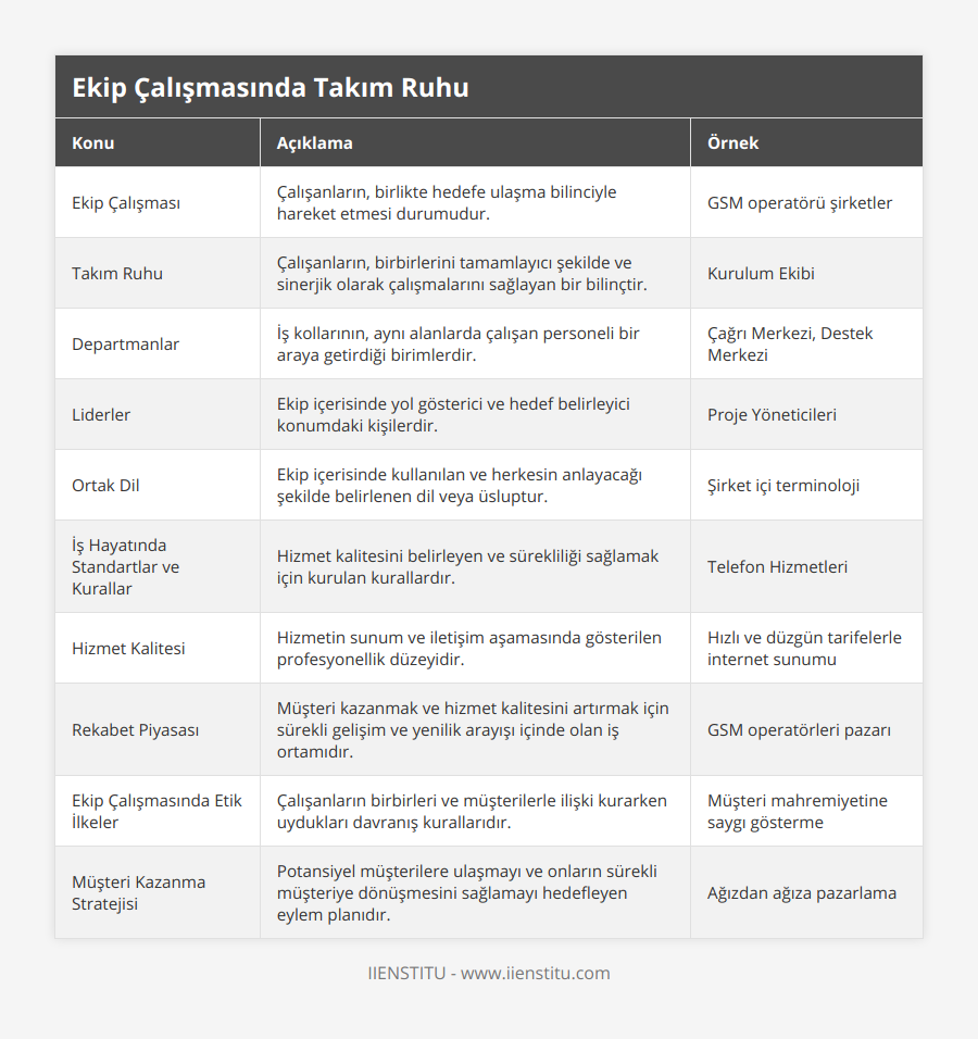 Ekip Çalışması, Çalışanların, birlikte hedefe ulaşma bilinciyle hareket etmesi durumudur, GSM operatörü şirketler, Takım Ruhu, Çalışanların, birbirlerini tamamlayıcı şekilde ve sinerjik olarak çalışmalarını sağlayan bir bilinçtir, Kurulum Ekibi, Departmanlar, İş kollarının, aynı alanlarda çalışan personeli bir araya getirdiği birimlerdir, Çağrı Merkezi, Destek Merkezi, Liderler, Ekip içerisinde yol gösterici ve hedef belirleyici konumdaki kişilerdir, Proje Yöneticileri, Ortak Dil, Ekip içerisinde kullanılan ve herkesin anlayacağı şekilde belirlenen dil veya üsluptur, Şirket içi terminoloji, İş Hayatında Standartlar ve Kurallar, Hizmet kalitesini belirleyen ve sürekliliği sağlamak için kurulan kurallardır, Telefon Hizmetleri, Hizmet Kalitesi, Hizmetin sunum ve iletişim aşamasında gösterilen profesyonellik düzeyidir, Hızlı ve düzgün tarifelerle internet sunumu, Rekabet Piyasası, Müşteri kazanmak ve hizmet kalitesini artırmak için sürekli gelişim ve yenilik arayışı içinde olan iş ortamıdır, GSM operatörleri pazarı, Ekip Çalışmasında Etik İlkeler, Çalışanların birbirleri ve müşterilerle ilişki kurarken uydukları davranış kurallarıdır, Müşteri mahremiyetine saygı gösterme, Müşteri Kazanma Stratejisi, Potansiyel müşterilere ulaşmayı ve onların sürekli müşteriye dönüşmesini sağlamayı hedefleyen eylem planıdır, Ağızdan ağıza pazarlama