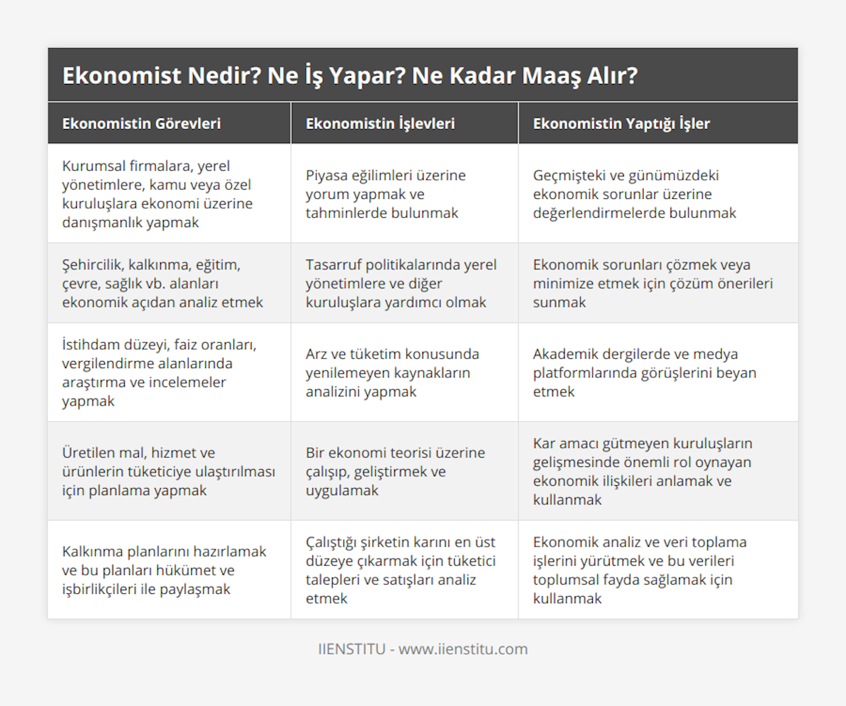Kurumsal firmalara, yerel yönetimlere, kamu veya özel kuruluşlara ekonomi üzerine danışmanlık yapmak, Piyasa eğilimleri üzerine yorum yapmak ve tahminlerde bulunmak, Geçmişteki ve günümüzdeki ekonomik sorunlar üzerine değerlendirmelerde bulunmak, Şehircilik, kalkınma, eğitim, çevre, sağlık vb alanları ekonomik açıdan analiz etmek, Tasarruf politikalarında yerel yönetimlere ve diğer kuruluşlara yardımcı olmak, Ekonomik sorunları çözmek veya minimize etmek için çözüm önerileri sunmak, İstihdam düzeyi, faiz oranları, vergilendirme alanlarında araştırma ve incelemeler yapmak, Arz ve tüketim konusunda yenilemeyen kaynakların analizini yapmak, Akademik dergilerde ve medya platformlarında görüşlerini beyan etmek, Üretilen mal, hizmet ve ürünlerin tüketiciye ulaştırılması için planlama yapmak, Bir ekonomi teorisi üzerine çalışıp, geliştirmek ve uygulamak, Kar amacı gütmeyen kuruluşların gelişmesinde önemli rol oynayan ekonomik ilişkileri anlamak ve kullanmak, Kalkınma planlarını hazırlamak ve bu planları hükümet ve işbirlikçileri ile paylaşmak, Çalıştığı şirketin karını en üst düzeye çıkarmak için tüketici talepleri ve satışları analiz etmek, Ekonomik analiz ve veri toplama işlerini yürütmek ve bu verileri toplumsal fayda sağlamak için kullanmak
