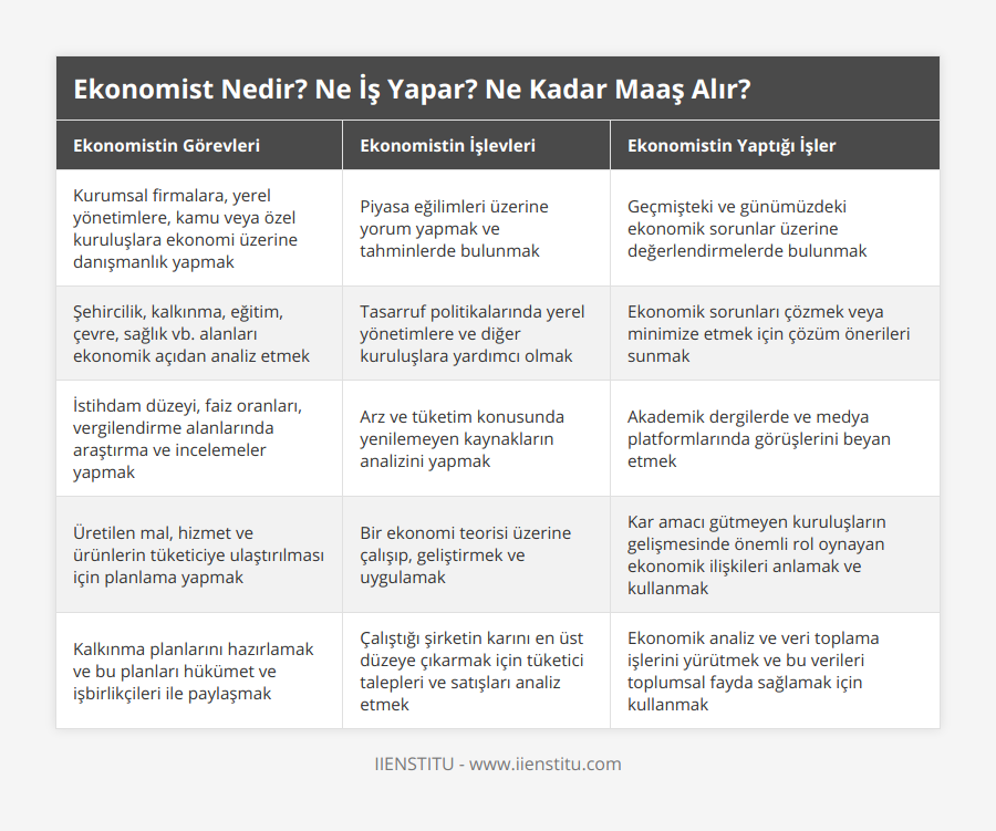 Kurumsal firmalara, yerel yönetimlere, kamu veya özel kuruluşlara ekonomi üzerine danışmanlık yapmak, Piyasa eğilimleri üzerine yorum yapmak ve tahminlerde bulunmak, Geçmişteki ve günümüzdeki ekonomik sorunlar üzerine değerlendirmelerde bulunmak, Şehircilik, kalkınma, eğitim, çevre, sağlık vb alanları ekonomik açıdan analiz etmek, Tasarruf politikalarında yerel yönetimlere ve diğer kuruluşlara yardımcı olmak, Ekonomik sorunları çözmek veya minimize etmek için çözüm önerileri sunmak, İstihdam düzeyi, faiz oranları, vergilendirme alanlarında araştırma ve incelemeler yapmak, Arz ve tüketim konusunda yenilemeyen kaynakların analizini yapmak, Akademik dergilerde ve medya platformlarında görüşlerini beyan etmek, Üretilen mal, hizmet ve ürünlerin tüketiciye ulaştırılması için planlama yapmak, Bir ekonomi teorisi üzerine çalışıp, geliştirmek ve uygulamak, Kar amacı gütmeyen kuruluşların gelişmesinde önemli rol oynayan ekonomik ilişkileri anlamak ve kullanmak, Kalkınma planlarını hazırlamak ve bu planları hükümet ve işbirlikçileri ile paylaşmak, Çalıştığı şirketin karını en üst düzeye çıkarmak için tüketici talepleri ve satışları analiz etmek, Ekonomik analiz ve veri toplama işlerini yürütmek ve bu verileri toplumsal fayda sağlamak için kullanmak