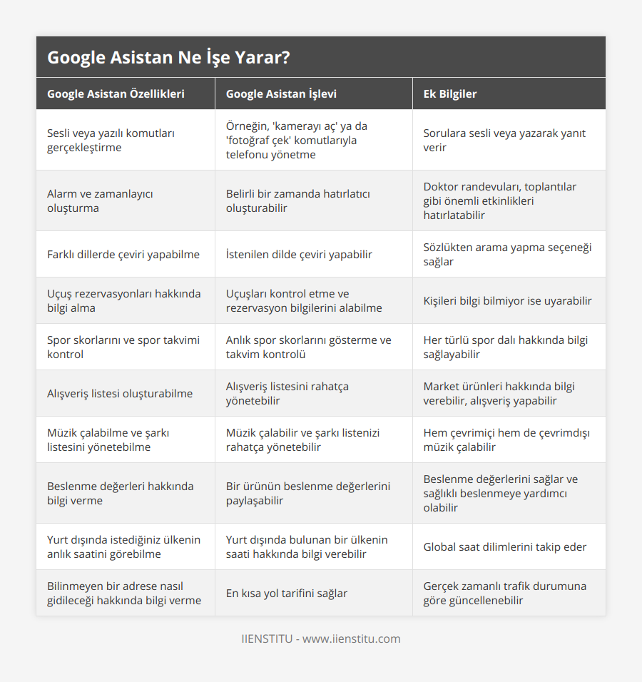 Sesli veya yazılı komutları gerçekleştirme, Örneğin, 'kamerayı aç' ya da 'fotoğraf çek' komutlarıyla telefonu yönetme, Sorulara sesli veya yazarak yanıt verir, Alarm ve zamanlayıcı oluşturma, Belirli bir zamanda hatırlatıcı oluşturabilir, Doktor randevuları, toplantılar gibi önemli etkinlikleri hatırlatabilir , Farklı dillerde çeviri yapabilme, İstenilen dilde çeviri yapabilir, Sözlükten arama yapma seçeneği sağlar, Uçuş rezervasyonları hakkında bilgi alma, Uçuşları kontrol etme ve rezervasyon bilgilerini alabilme, Kişileri bilgi bilmiyor ise uyarabilir, Spor skorlarını ve spor takvimi kontrol, Anlık spor skorlarını gösterme ve takvim kontrolü, Her türlü spor dalı hakkında bilgi sağlayabilir, Alışveriş listesi oluşturabilme, Alışveriş listesini rahatça yönetebilir, Market ürünleri hakkında bilgi verebilir, alışveriş yapabilir,  Müzik çalabilme ve şarkı listesini yönetebilme, Müzik çalabilir ve şarkı listenizi rahatça yönetebilir, Hem çevrimiçi hem de çevrimdışı müzik çalabilir, Beslenme değerleri hakkında bilgi verme, Bir ürünün beslenme değerlerini paylaşabilir, Beslenme değerlerini sağlar ve sağlıklı beslenmeye yardımcı olabilir, Yurt dışında istediğiniz ülkenin anlık saatini görebilme, Yurt dışında bulunan bir ülkenin saati hakkında bilgi verebilir, Global saat dilimlerini takip eder, Bilinmeyen bir adrese nasıl gidileceği hakkında bilgi verme, En kısa yol tarifini sağlar, Gerçek zamanlı trafik durumuna göre güncellenebilir