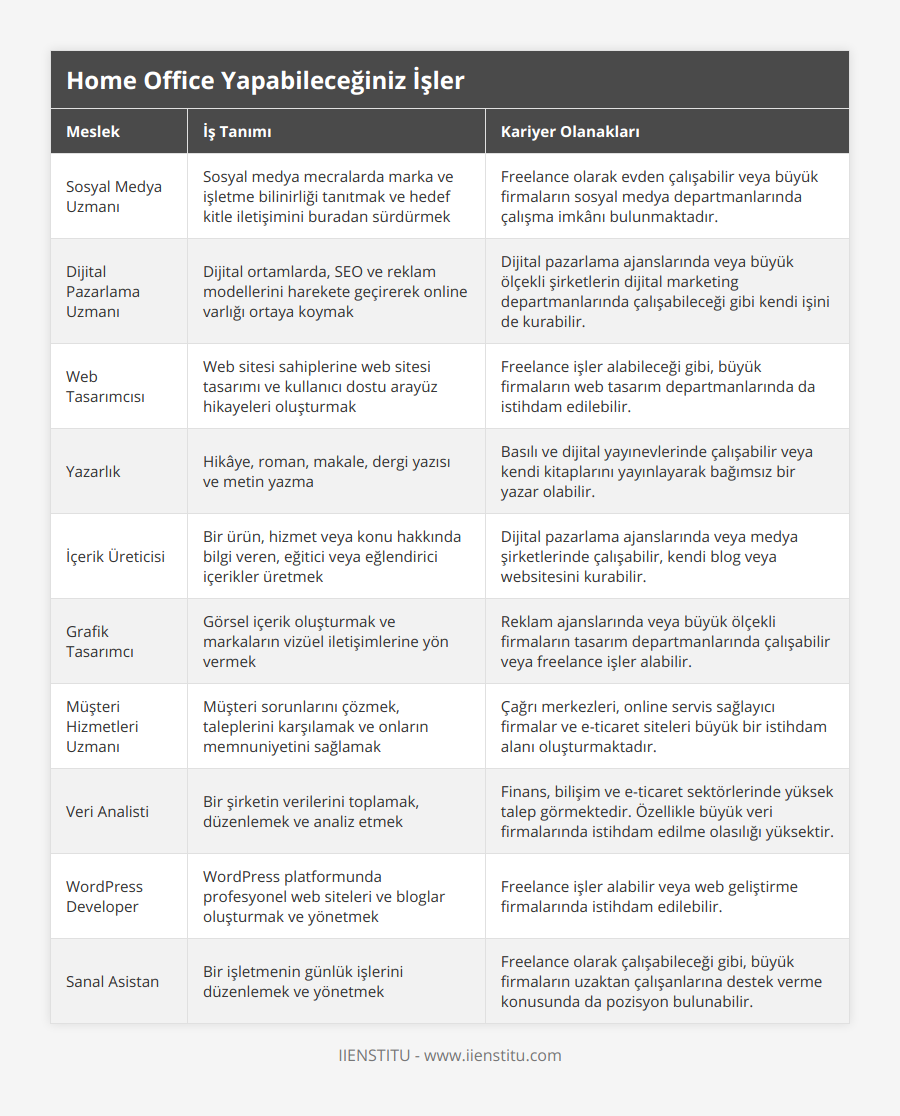 Sosyal Medya Uzmanı, Sosyal medya mecralarda marka ve işletme bilinirliği tanıtmak ve hedef kitle iletişimini buradan sürdürmek, Freelance olarak evden çalışabilir veya büyük firmaların sosyal medya departmanlarında çalışma imkânı bulunmaktadır, Dijital Pazarlama Uzmanı, Dijital ortamlarda, SEO ve reklam modellerini harekete geçirerek online varlığı ortaya koymak, Dijital pazarlama ajanslarında veya büyük ölçekli şirketlerin dijital marketing departmanlarında çalışabileceği gibi kendi işini de kurabilir, Web Tasarımcısı, Web sitesi sahiplerine web sitesi tasarımı ve kullanıcı dostu arayüz hikayeleri oluşturmak, Freelance işler alabileceği gibi, büyük firmaların web tasarım departmanlarında da istihdam edilebilir, Yazarlık, Hikâye, roman, makale, dergi yazısı ve metin yazma, Basılı ve dijital yayınevlerinde çalışabilir veya kendi kitaplarını yayınlayarak bağımsız bir yazar olabilir, İçerik Üreticisi, Bir ürün, hizmet veya konu hakkında bilgi veren, eğitici veya eğlendirici içerikler üretmek, Dijital pazarlama ajanslarında veya medya şirketlerinde çalışabilir, kendi blog veya websitesini kurabilir, Grafik Tasarımcı, Görsel içerik oluşturmak ve markaların vizüel iletişimlerine yön vermek, Reklam ajanslarında veya büyük ölçekli firmaların tasarım departmanlarında çalışabilir veya freelance işler alabilir, Müşteri Hizmetleri Uzmanı, Müşteri sorunlarını çözmek, taleplerini karşılamak ve onların memnuniyetini sağlamak, Çağrı merkezleri, online servis sağlayıcı firmalar ve e-ticaret siteleri büyük bir istihdam alanı oluşturmaktadır, Veri Analisti, Bir şirketin verilerini toplamak, düzenlemek ve analiz etmek, Finans, bilişim ve e-ticaret sektörlerinde yüksek talep görmektedir Özellikle büyük veri firmalarında istihdam edilme olasılığı yüksektir, WordPress Developer, WordPress platformunda profesyonel web siteleri ve bloglar oluşturmak ve yönetmek, Freelance işler alabilir veya web geliştirme firmalarında istihdam edilebilir, Sanal Asistan, Bir işletmenin günlük işlerini düzenlemek ve yönetmek, Freelance olarak çalışabileceği gibi, büyük firmaların uzaktan çalışanlarına destek verme konusunda da pozisyon bulunabilir