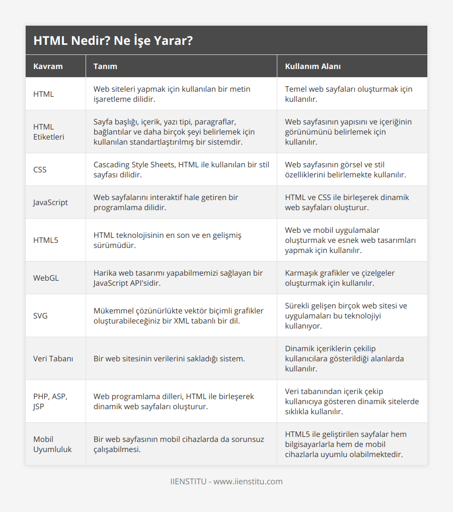 HTML, Web siteleri yapmak için kullanılan bir metin işaretleme dilidir, Temel web sayfaları oluşturmak için kullanılır, HTML Etiketleri, Sayfa başlığı, içerik, yazı tipi, paragraflar, bağlantılar ve daha birçok şeyi belirlemek için kullanılan standartlaştırılmış bir sistemdir, Web sayfasının yapısını ve içeriğinin görünümünü belirlemek için kullanılır, CSS, Cascading Style Sheets, HTML ile kullanılan bir stil sayfası dilidir, Web sayfasının görsel ve stil özelliklerini belirlemekte kullanılır, JavaScript, Web sayfalarını interaktif hale getiren bir programlama dilidir, HTML ve CSS ile birleşerek dinamik web sayfaları oluşturur, HTML5, HTML teknolojisinin en son ve en gelişmiş sürümüdür, Web ve mobil uygulamalar oluşturmak ve esnek web tasarımları yapmak için kullanılır, WebGL, Harika web tasarımı yapabilmemizi sağlayan bir JavaScript API'sidir, Karmaşık grafikler ve çizelgeler oluşturmak için kullanılır, SVG, Mükemmel çözünürlükte vektör biçimli grafikler oluşturabileceğiniz bir XML tabanlı bir dil, Sürekli gelişen birçok web sitesi ve uygulamaları bu teknolojiyi kullanıyor, Veri Tabanı, Bir web sitesinin verilerini sakladığı sistem, Dinamik içeriklerin çekilip kullanıcılara gösterildiği alanlarda kullanılır, PHP, ASP, JSP, Web programlama dilleri, HTML ile birleşerek dinamik web sayfaları oluşturur, Veri tabanından içerik çekip kullanıcıya gösteren dinamik sitelerde sıklıkla kullanılır, Mobil Uyumluluk, Bir web sayfasının mobil cihazlarda da sorunsuz çalışabilmesi, HTML5 ile geliştirilen sayfalar hem bilgisayarlarla hem de mobil cihazlarla uyumlu olabilmektedir