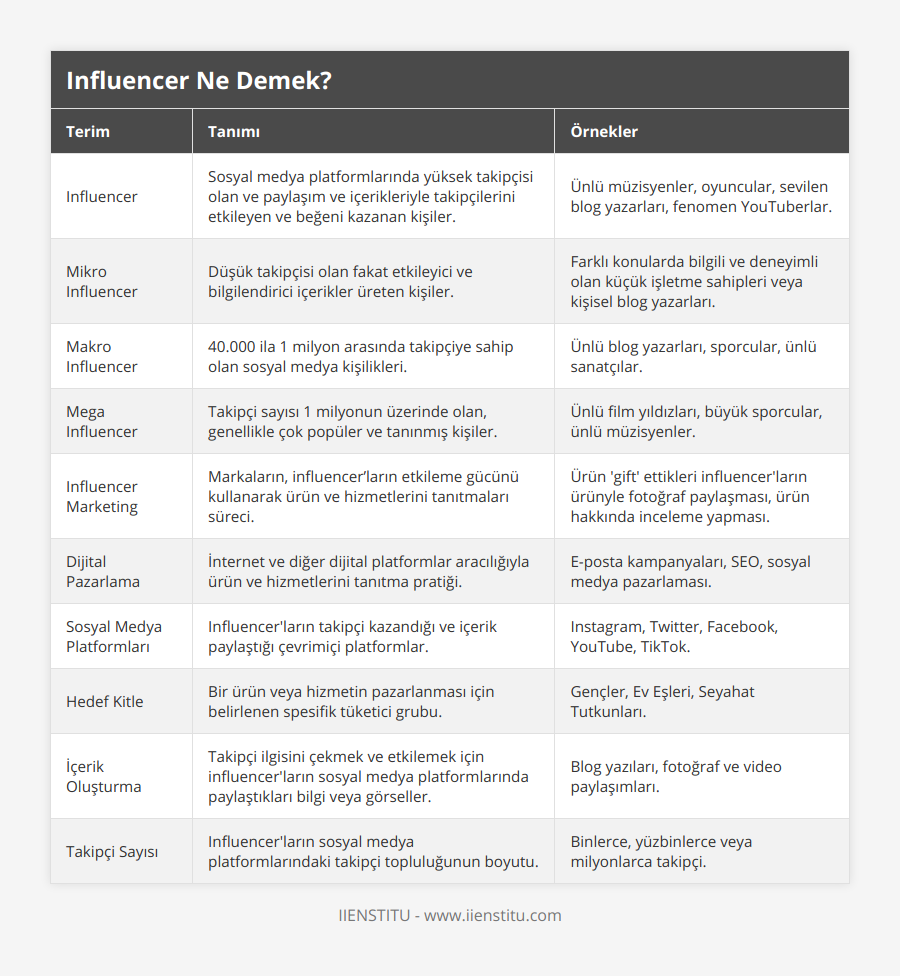 Influencer, Sosyal medya platformlarında yüksek takipçisi olan ve paylaşım ve içerikleriyle takipçilerini etkileyen ve beğeni kazanan kişiler, Ünlü müzisyenler, oyuncular, sevilen blog yazarları, fenomen YouTuberlar, Mikro Influencer, Düşük takipçisi olan fakat etkileyici ve bilgilendirici içerikler üreten kişiler, Farklı konularda bilgili ve deneyimli olan küçük işletme sahipleri veya kişisel blog yazarları, Makro Influencer, 40000 ila 1 milyon arasında takipçiye sahip olan sosyal medya kişilikleri, Ünlü blog yazarları, sporcular, ünlü sanatçılar, Mega Influencer, Takipçi sayısı 1 milyonun üzerinde olan, genellikle çok popüler ve tanınmış kişiler, Ünlü film yıldızları, büyük sporcular, ünlü müzisyenler, Influencer Marketing, Markaların, influencer’ların etkileme gücünü kullanarak ürün ve hizmetlerini tanıtmaları süreci, Ürün 'gift' ettikleri influencer'ların ürünyle fotoğraf paylaşması, ürün hakkında inceleme yapması, Dijital Pazarlama, İnternet ve diğer dijital platformlar aracılığıyla ürün ve hizmetlerini tanıtma pratiği, E-posta kampanyaları, SEO, sosyal medya pazarlaması, Sosyal Medya Platformları, Influencer'ların takipçi kazandığı ve içerik paylaştığı çevrimiçi platformlar, Instagram, Twitter, Facebook, YouTube, TikTok, Hedef Kitle, Bir ürün veya hizmetin pazarlanması için belirlenen spesifik tüketici grubu, Gençler, Ev Eşleri, Seyahat Tutkunları, İçerik Oluşturma, Takipçi ilgisini çekmek ve etkilemek için influencer'ların sosyal medya platformlarında paylaştıkları bilgi veya görseller, Blog yazıları, fotoğraf ve video paylaşımları, Takipçi Sayısı, Influencer'ların sosyal medya platformlarındaki takipçi topluluğunun boyutu, Binlerce, yüzbinlerce veya milyonlarca takipçi