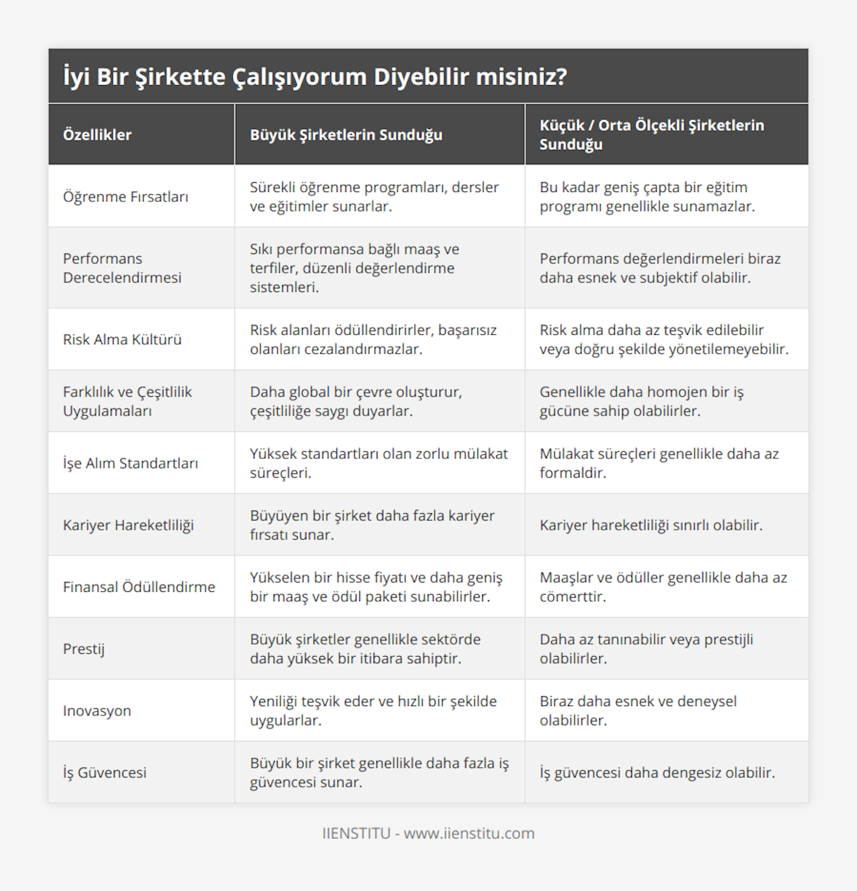 Öğrenme Fırsatları, Sürekli öğrenme programları, dersler ve eğitimler sunarlar, Bu kadar geniş çapta bir eğitim programı genellikle sunamazlar, Performans Derecelendirmesi, Sıkı performansa bağlı maaş ve terfiler, düzenli değerlendirme sistemleri, Performans değerlendirmeleri biraz daha esnek ve subjektif olabilir, Risk Alma Kültürü, Risk alanları ödüllendirirler, başarısız olanları cezalandırmazlar, Risk alma daha az teşvik edilebilir veya doğru şekilde yönetilemeyebilir, Farklılık ve Çeşitlilik Uygulamaları, Daha global bir çevre oluşturur, çeşitliliğe saygı duyarlar, Genellikle daha homojen bir iş gücüne sahip olabilirler, İşe Alım Standartları, Yüksek standartları olan zorlu mülakat süreçleri, Mülakat süreçleri genellikle daha az formaldir, Kariyer Hareketliliği, Büyüyen bir şirket daha fazla kariyer fırsatı sunar, Kariyer hareketliliği sınırlı olabilir, Finansal Ödüllendirme, Yükselen bir hisse fiyatı ve daha geniş bir maaş ve ödül paketi sunabilirler, Maaşlar ve ödüller genellikle daha az cömerttir, Prestij, Büyük şirketler genellikle sektörde daha yüksek bir itibara sahiptir, Daha az tanınabilir veya prestijli olabilirler, Inovasyon, Yeniliği teşvik eder ve hızlı bir şekilde uygularlar, Biraz daha esnek ve deneysel olabilirler, İş Güvencesi, Büyük bir şirket genellikle daha fazla iş güvencesi sunar, İş güvencesi daha dengesiz olabilir