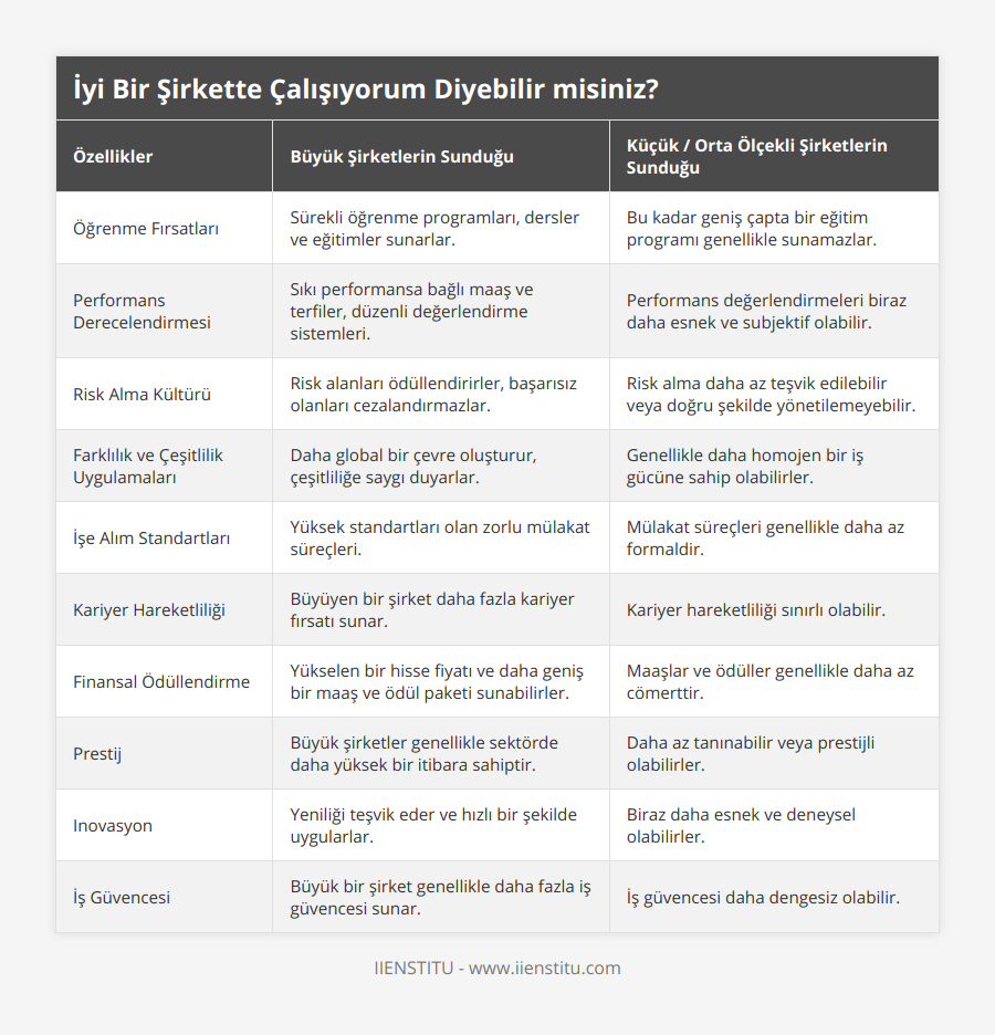 Öğrenme Fırsatları, Sürekli öğrenme programları, dersler ve eğitimler sunarlar, Bu kadar geniş çapta bir eğitim programı genellikle sunamazlar, Performans Derecelendirmesi, Sıkı performansa bağlı maaş ve terfiler, düzenli değerlendirme sistemleri, Performans değerlendirmeleri biraz daha esnek ve subjektif olabilir, Risk Alma Kültürü, Risk alanları ödüllendirirler, başarısız olanları cezalandırmazlar, Risk alma daha az teşvik edilebilir veya doğru şekilde yönetilemeyebilir, Farklılık ve Çeşitlilik Uygulamaları, Daha global bir çevre oluşturur, çeşitliliğe saygı duyarlar, Genellikle daha homojen bir iş gücüne sahip olabilirler, İşe Alım Standartları, Yüksek standartları olan zorlu mülakat süreçleri, Mülakat süreçleri genellikle daha az formaldir, Kariyer Hareketliliği, Büyüyen bir şirket daha fazla kariyer fırsatı sunar, Kariyer hareketliliği sınırlı olabilir, Finansal Ödüllendirme, Yükselen bir hisse fiyatı ve daha geniş bir maaş ve ödül paketi sunabilirler, Maaşlar ve ödüller genellikle daha az cömerttir, Prestij, Büyük şirketler genellikle sektörde daha yüksek bir itibara sahiptir, Daha az tanınabilir veya prestijli olabilirler, Inovasyon, Yeniliği teşvik eder ve hızlı bir şekilde uygularlar, Biraz daha esnek ve deneysel olabilirler, İş Güvencesi, Büyük bir şirket genellikle daha fazla iş güvencesi sunar, İş güvencesi daha dengesiz olabilir