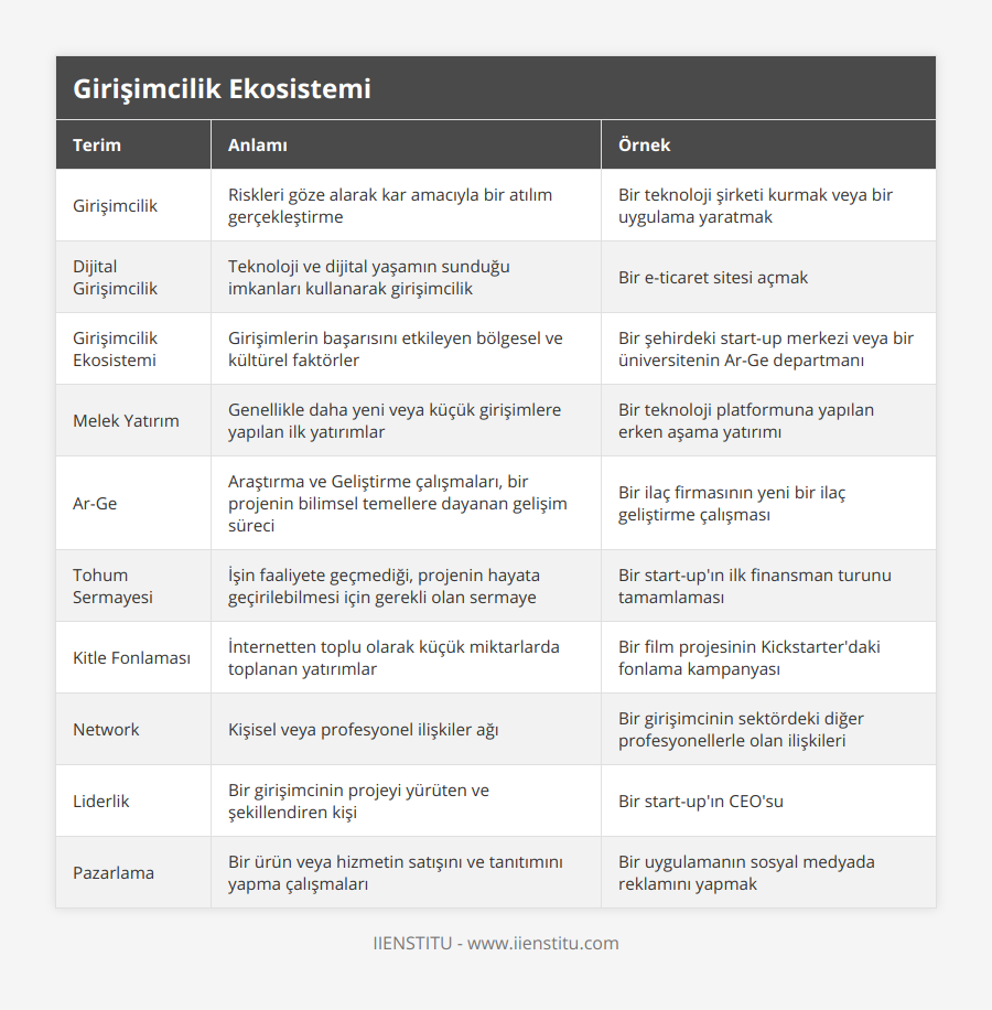 Girişimcilik, Riskleri göze alarak kar amacıyla bir atılım gerçekleştirme, Bir teknoloji şirketi kurmak veya bir uygulama yaratmak, Dijital Girişimcilik, Teknoloji ve dijital yaşamın sunduğu imkanları kullanarak girişimcilik, Bir e-ticaret sitesi açmak, Girişimcilik Ekosistemi, Girişimlerin başarısını etkileyen bölgesel ve kültürel faktörler, Bir şehirdeki start-up merkezi veya bir üniversitenin Ar-Ge departmanı, Melek Yatırım, Genellikle daha yeni veya küçük girişimlere yapılan ilk yatırımlar, Bir teknoloji platformuna yapılan erken aşama yatırımı, Ar-Ge, Araştırma ve Geliştirme çalışmaları, bir projenin bilimsel temellere dayanan gelişim süreci, Bir ilaç firmasının yeni bir ilaç geliştirme çalışması, Tohum Sermayesi, İşin faaliyete geçmediği, projenin hayata geçirilebilmesi için gerekli olan sermaye, Bir start-up'ın ilk finansman turunu tamamlaması, Kitle Fonlaması, İnternetten toplu olarak küçük miktarlarda toplanan yatırımlar, Bir film projesinin Kickstarter'daki fonlama kampanyası, Network, Kişisel veya profesyonel ilişkiler ağı, Bir girişimcinin sektördeki diğer profesyonellerle olan ilişkileri, Liderlik, Bir girişimcinin projeyi yürüten ve şekillendiren kişi, Bir start-up'ın CEO'su, Pazarlama, Bir ürün veya hizmetin satışını ve tanıtımını yapma çalışmaları, Bir uygulamanın sosyal medyada reklamını yapmak