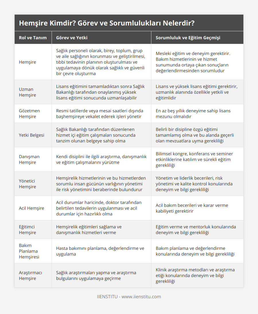 Hemşire, Sağlık personeli olarak, birey, toplum, grup ve aile sağlığının korunması ve geliştirilmesi, tıbbi tedavinin planının oluşturulması ve uygulamaya dönük olarak sağlıklı ve güvenli bir çevre oluşturma, Mesleki eğitim ve deneyim gerektirir Bakım hizmetlerinin ve hizmet sunumunda ortaya çıkan sonuçların değerlendirmesinden sorumludur, Uzman Hemşire, Lisans eğitimini tamamladıktan sonra Sağlık Bakanlığı tarafından onaylanmış yüksek lisans eğitimi sonucunda uzmanlaşabilir, Lisans ve yüksek lisans eğitimi gerektirir, uzmanlık alanında özellikle yetkili ve eğitimlidir, Gözetmen Hemşire, Resmi tatillerde veya mesai saatleri dışında başhemşireye vekalet ederek işleri yönetir, En az beş yıllık deneyime sahip lisans mezunu olmalıdır, Yetki Belgesi, Sağlık Bakanlığı tarafından düzenlenen hizmet içi eğitim çalışmaları sonucunda tanzim olunan belgeye sahip olma, Belirli bir disipline özgü eğitimi tamamlamış olma ve bu alanda geçerli olan mevzuatlara uyma gerekliliği, Danışman Hemşire, Kendi disiplini ile ilgili araştırma, danışmanlık ve eğitim çalışmalarını yürütme, Bilimsel kongre, konferans ve seminer etkinliklerine katılım ve sürekli eğitim gerekliliği, Yönetici Hemşire, Hemşirelik hizmetlerinin ve bu hizmetlerden sorumlu insan gücünün varlığının yönetimi ile risk yönetimini beraberinde bulundurur, Yönetim ve liderlik becerileri, risk yönetimi ve kalite kontrol konularında deneyim ve bilgi gerekliliği, Acil Hemşire, Acil durumlar haricinde, doktor tarafından belirtilen tedavilerin uygulanması ve acil durumlar için hazırlıklı olma, Acil bakım becerileri ve karar verme kabiliyeti gerektirir, Eğitimci Hemşire, Hemşirelik eğitimleri sağlama ve danışmanlık hizmetleri verme, Eğitim verme ve mentorluk konularında deneyim ve bilgi gerekliliği, Bakım Planlama Hemşiresi, Hasta bakımını planlama, değerlendirme ve uygulama, Bakım planlama ve değerlendirme konularında deneyim ve bilgi gerekliliği, Araştırmacı Hemşire, Sağlık araştırmaları yapma ve araştırma bulgularını uygulamaya geçirme, Klinik araştırma metodları ve araştırma etiği konularında deneyim ve bilgi gerekliliği