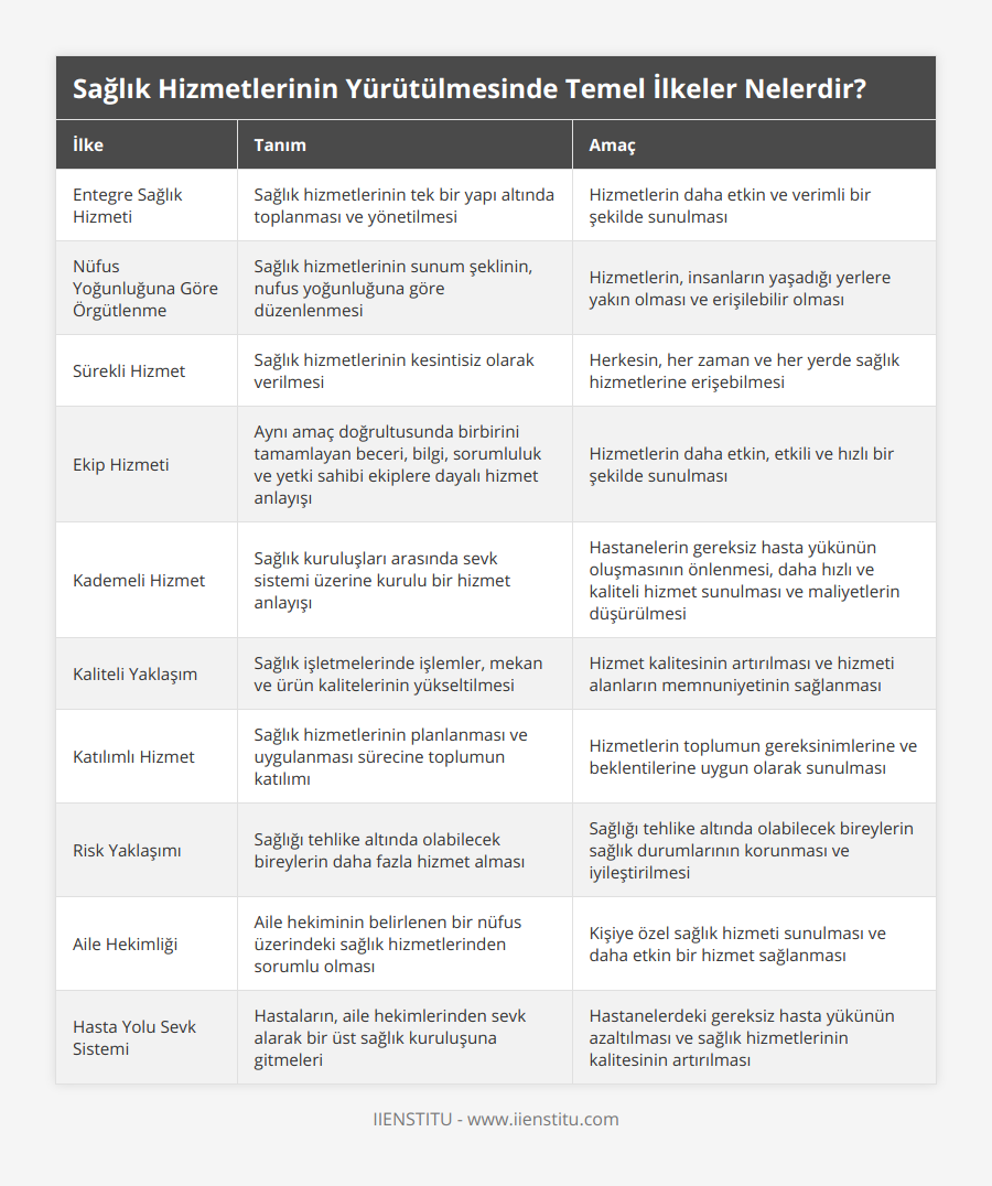 Entegre Sağlık Hizmeti, Sağlık hizmetlerinin tek bir yapı altında toplanması ve yönetilmesi, Hizmetlerin daha etkin ve verimli bir şekilde sunulması, Nüfus Yoğunluğuna Göre Örgütlenme, Sağlık hizmetlerinin sunum şeklinin, nufus yoğunluğuna göre düzenlenmesi, Hizmetlerin, insanların yaşadığı yerlere yakın olması ve erişilebilir olması, Sürekli Hizmet, Sağlık hizmetlerinin kesintisiz olarak verilmesi, Herkesin, her zaman ve her yerde sağlık hizmetlerine erişebilmesi, Ekip Hizmeti, Aynı amaç doğrultusunda birbirini tamamlayan beceri, bilgi, sorumluluk ve yetki sahibi ekiplere dayalı hizmet anlayışı, Hizmetlerin daha etkin, etkili ve hızlı bir şekilde sunulması, Kademeli Hizmet, Sağlık kuruluşları arasında sevk sistemi üzerine kurulu bir hizmet anlayışı, Hastanelerin gereksiz hasta yükünün oluşmasının önlenmesi, daha hızlı ve kaliteli hizmet sunulması ve maliyetlerin düşürülmesi, Kaliteli Yaklaşım, Sağlık işletmelerinde işlemler, mekan ve ürün kalitelerinin yükseltilmesi, Hizmet kalitesinin artırılması ve hizmeti alanların memnuniyetinin sağlanması, Katılımlı Hizmet, Sağlık hizmetlerinin planlanması ve uygulanması sürecine toplumun katılımı, Hizmetlerin toplumun gereksinimlerine ve beklentilerine uygun olarak sunulması, Risk Yaklaşımı, Sağlığı tehlike altında olabilecek bireylerin daha fazla hizmet alması, Sağlığı tehlike altında olabilecek bireylerin sağlık durumlarının korunması ve iyileştirilmesi, Aile Hekimliği, Aile hekiminin belirlenen bir nüfus üzerindeki sağlık hizmetlerinden sorumlu olması, Kişiye özel sağlık hizmeti sunulması ve daha etkin bir hizmet sağlanması, Hasta Yolu Sevk Sistemi, Hastaların, aile hekimlerinden sevk alarak bir üst sağlık kuruluşuna gitmeleri, Hastanelerdeki gereksiz hasta yükünün azaltılması ve sağlık hizmetlerinin kalitesinin artırılması