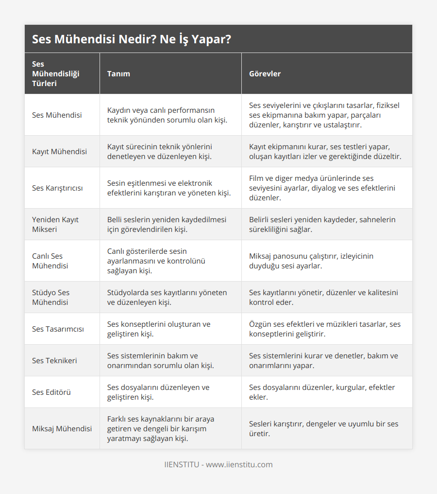 Ses Mühendisi, Kaydın veya canlı performansın teknik yönünden sorumlu olan kişi, Ses seviyelerini ve çıkışlarını tasarlar, fiziksel ses ekipmanına bakım yapar, parçaları düzenler, karıştırır ve ustalaştırır, Kayıt Mühendisi, Kayıt sürecinin teknik yönlerini denetleyen ve düzenleyen kişi, Kayıt ekipmanını kurar, ses testleri yapar, oluşan kayıtları izler ve gerektiğinde düzeltir, Ses Karıştırıcısı, Sesin eşitlenmesi ve elektronik efektlerini karıştıran ve yöneten kişi, Film ve diger medya ürünlerinde ses seviyesini ayarlar, diyalog ve ses efektlerini düzenler, Yeniden Kayıt Mikseri, Belli seslerin yeniden kaydedilmesi için görevlendirilen kişi, Belirli sesleri yeniden kaydeder, sahnelerin sürekliliğini sağlar, Canlı Ses Mühendisi, Canlı gösterilerde sesin ayarlanmasını ve kontrolünü sağlayan kişi, Miksaj panosunu çalıştırır, izleyicinin duyduğu sesi ayarlar, Stüdyo Ses Mühendisi, Stüdyolarda ses kayıtlarını yöneten ve düzenleyen kişi, Ses kayıtlarını yönetir, düzenler ve kalitesini kontrol eder, Ses Tasarımcısı, Ses konseptlerini oluşturan ve geliştiren kişi, Özgün ses efektleri ve müzikleri tasarlar, ses konseptlerini geliştirir, Ses Teknikeri, Ses sistemlerinin bakım ve onarımından sorumlu olan kişi, Ses sistemlerini kurar ve denetler, bakım ve onarımlarını yapar, Ses Editörü, Ses dosyalarını düzenleyen ve geliştiren kişi, Ses dosyalarını düzenler, kurgular, efektler ekler, Miksaj Mühendisi, Farklı ses kaynaklarını bir araya getiren ve dengeli bir karışım yaratmayı sağlayan kişi, Sesleri karıştırır, dengeler ve uyumlu bir ses üretir