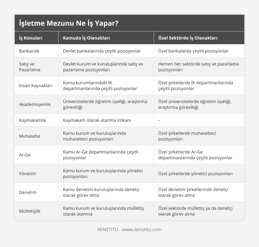Bankacılık, Devlet bankalarında çeşitli pozisyonlar, Özel bankalarda çeşitli pozisyonlar, Satış ve Pazarlama, Devlet kurum ve kuruluşlarında satış ve pazarlama pozisyonları, Hemen her sektörde satış ve pazarlama pozisyonları, İnsan Kaynakları, Kamu kurumlarındaki İK departmanlarında çeşitli pozisyonlar, Özel şirketlerde İK departmanlarında çeşitli pozisyonlar, Akademisyenlik, Üniversitelerde öğretim üyeliği, araştırma görevliliği, Özel üniversitelerde öğretim üyeliği, araştırma görevliliği, Kaymakamlık, Kaymakam olarak atanma imkanı, -, Muhasebe, Kamu kurum ve kuruluşlarında muhasebeci pozisyonları, Özel şirketlerde muhasebeci pozisyonları, Ar-Ge, Kamu Ar-Ge departmanlarında çeşitli pozisyonlar, Özel şirketlerde Ar-Ge departmanlarında çeşitli pozisyonlar, Yönetim, Kamu kurum ve kuruluşlarında yönetici pozisyonları, Özel şirketlerde yönetici pozisyonları, Denetim, Kamu denetim kuruluşlarında denetçi olarak görev alma, Özel denetim şirketlerinde denetçi olarak görev alma, Müfettişlik, Kamu kurum ve kuruluşlarında müfettiş olarak atanma, Özel sektörde müfettiş ya da denetçi olarak görev alma