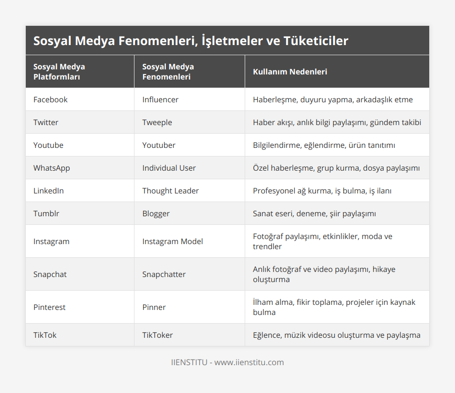 Facebook, Influencer, Haberleşme, duyuru yapma, arkadaşlık etme, Twitter, Tweeple, Haber akışı, anlık bilgi paylaşımı, gündem takibi, Youtube, Youtuber, Bilgilendirme, eğlendirme, ürün tanıtımı, WhatsApp, Individual User, Özel haberleşme, grup kurma, dosya paylaşımı, LinkedIn, Thought Leader, Profesyonel ağ kurma, iş bulma, iş ilanı, Tumblr, Blogger, Sanat eseri, deneme, şiir paylaşımı, Instagram, Instagram Model, Fotoğraf paylaşımı, etkinlikler, moda ve trendler, Snapchat, Snapchatter, Anlık fotoğraf ve video paylaşımı, hikaye oluşturma, Pinterest, Pinner, İlham alma, fikir toplama, projeler için kaynak bulma, TikTok, TikToker, Eğlence, müzik videosu oluşturma ve paylaşma