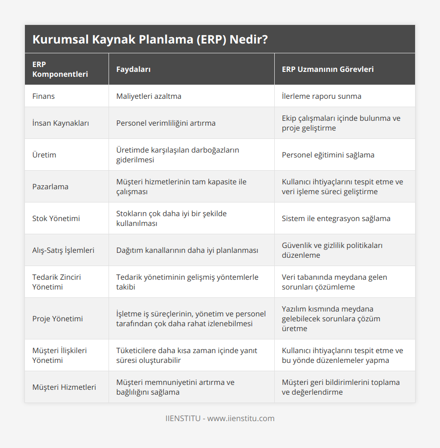 Finans, Maliyetleri azaltma, İlerleme raporu sunma, İnsan Kaynakları, Personel verimliliğini artırma, Ekip çalışmaları içinde bulunma ve proje geliştirme, Üretim, Üretimde karşılaşılan darboğazların giderilmesi, Personel eğitimini sağlama, Pazarlama, Müşteri hizmetlerinin tam kapasite ile çalışması, Kullanıcı ihtiyaçlarını tespit etme ve veri işleme süreci geliştirme, Stok Yönetimi, Stokların çok daha iyi bir şekilde kullanılması, Sistem ile entegrasyon sağlama, Alış-Satış İşlemleri, Dağıtım kanallarının daha iyi planlanması, Güvenlik ve gizlilik politikaları düzenleme, Tedarik Zinciri Yönetimi, Tedarik yönetiminin gelişmiş yöntemlerle takibi, Veri tabanında meydana gelen sorunları çözümleme, Proje Yönetimi, İşletme iş süreçlerinin, yönetim ve personel tarafından çok daha rahat izlenebilmesi, Yazılım kısmında meydana gelebilecek sorunlara çözüm üretme, Müşteri İlişkileri Yönetimi, Tüketicilere daha kısa zaman içinde yanıt süresi oluşturabilir, Kullanıcı ihtiyaçlarını tespit etme ve bu yönde düzenlemeler yapma, Müşteri Hizmetleri, Müşteri memnuniyetini artırma ve bağlılığını sağlama, Müşteri geri bildirimlerini toplama ve değerlendirme