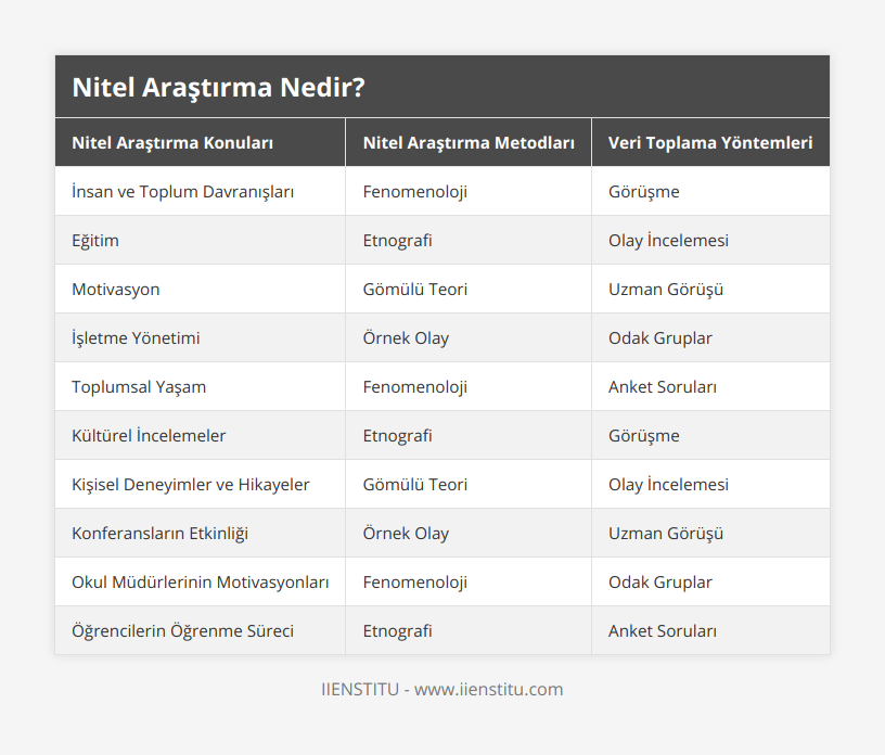 İnsan ve Toplum Davranışları, Fenomenoloji, Görüşme, Eğitim, Etnografi, Olay İncelemesi, Motivasyon, Gömülü Teori, Uzman Görüşü, İşletme Yönetimi, Örnek Olay, Odak Gruplar, Toplumsal Yaşam, Fenomenoloji, Anket Soruları, Kültürel İncelemeler, Etnografi, Görüşme, Kişisel Deneyimler ve Hikayeler, Gömülü Teori, Olay İncelemesi, Konferansların Etkinliği, Örnek Olay, Uzman Görüşü, Okul Müdürlerinin Motivasyonları, Fenomenoloji, Odak Gruplar, Öğrencilerin Öğrenme Süreci, Etnografi, Anket Soruları