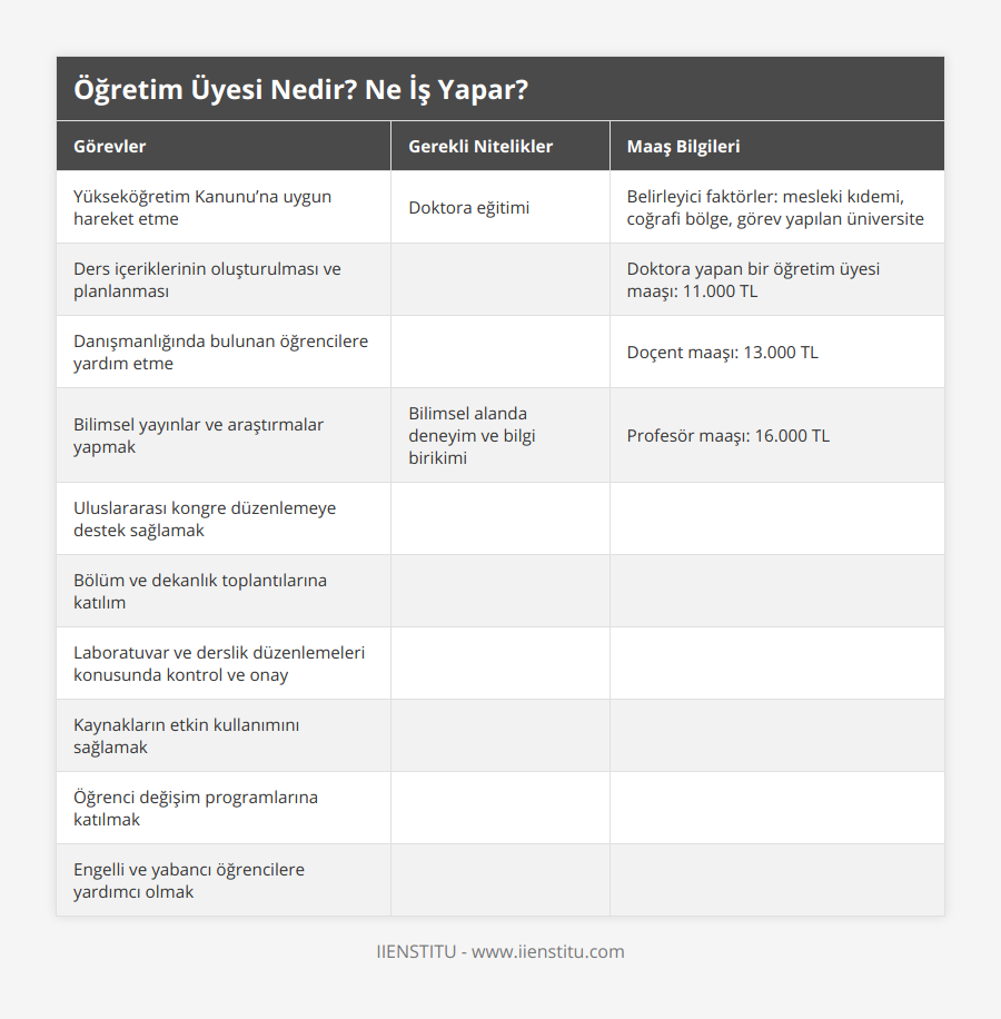 Yükseköğretim Kanunu’na uygun hareket etme, Doktora eğitimi, Belirleyici faktörler: mesleki kıdemi, coğrafi bölge, görev yapılan üniversite, Ders içeriklerinin oluşturulması ve planlanması, , Doktora yapan bir öğretim üyesi maaşı: 11000 TL, Danışmanlığında bulunan öğrencilere yardım etme, , Doçent maaşı: 13000 TL, Bilimsel yayınlar ve araştırmalar yapmak, Bilimsel alanda deneyim ve bilgi birikimi, Profesör maaşı: 16000 TL, Uluslararası kongre düzenlemeye destek sağlamak, , , Bölüm ve dekanlık toplantılarına katılım, , , Laboratuvar ve derslik düzenlemeleri konusunda kontrol ve onay, , , Kaynakların etkin kullanımını sağlamak, , , Öğrenci değişim programlarına katılmak, , , Engelli ve yabancı öğrencilere yardımcı olmak, ,