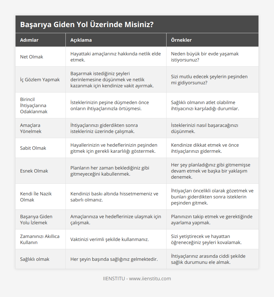 Net Olmak, Hayattaki amaçlarınız hakkında netlik elde etmek, Neden büyük bir evde yaşamak istiyorsunuz?, İç Gözlem Yapmak, Başarmak istediğiniz şeyleri derinlemesine düşünmek ve netlik kazanmak için kendinize vakit ayırmak, Sizi mutlu edecek şeylerin peşinden mi gidiyorsunuz?, Birincil İhtiyaçlarına Odaklanmak, İsteklerinizin peşine düşmeden önce onların ihtiyaçlarınızla örtüşmesi, Sağlıklı olmanın atlet olabilme ihtiyacınızı karşıladığı durumlar, Amaçlara Yönelmek, İhtiyaçlarınızı giderdikten sonra istekleriniz üzerinde çalışmak, İsteklerinizi nasıl başaracağınızı düşünmek, Sabit Olmak, Hayallerinizin ve hedeflerinizin peşinden gitmek için gerekli kararlılığı göstermek, Kendinize dikkat etmek ve önce ihtiyaçlarınızı gidermek, Esnek Olmak, Planların her zaman beklediğiniz gibi gitmeyeceğini kabullenmek, Her şey planladığınız gibi gitmemişse devam etmek ve başka bir yaklaşım denemek, Kendi İle Nazik Olmak, Kendinizi baskı altında hissetmemeniz ve sabırlı olmanız, İhtiyaçları öncelikli olarak gözetmek ve bunları giderdikten sonra isteklerin peşinden gitmek, Başarıya Giden Yolu İzlemek, Amaçlarınıza ve hedeflerinize ulaşmak için çalışmak, Planınızın takip etmek ve gerektiğinde ayarlama yapmak, Zamanınızı Akıllıca Kullanın, Vaktinizi verimli şekilde kullanmanız, Sizi yetiştirecek ve hayattan öğreneceğiniz şeyleri kovalamak, Sağlıklı olmak, Her şeyin başında sağlığınız gelmektedir, İhtiyaçlarınız arasında ciddi şekilde sağlık durumunu ele almak