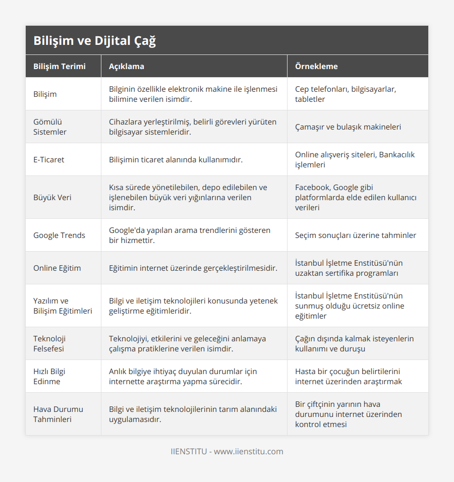 Bilişim, Bilginin özellikle elektronik makine ile işlenmesi bilimine verilen isimdir, Cep telefonları, bilgisayarlar, tabletler, Gömülü Sistemler, Cihazlara yerleştirilmiş, belirli görevleri yürüten bilgisayar sistemleridir, Çamaşır ve bulaşık makineleri, E-Ticaret, Bilişimin ticaret alanında kullanımıdır, Online alışveriş siteleri, Bankacılık işlemleri, Büyük Veri, Kısa sürede yönetilebilen, depo edilebilen ve işlenebilen büyük veri yığınlarına verilen isimdir, Facebook, Google gibi platformlarda elde edilen kullanıcı verileri, Google Trends, Google'da yapılan arama trendlerini gösteren bir hizmettir, Seçim sonuçları üzerine tahminler, Online Eğitim, Eğitimin internet üzerinde gerçekleştirilmesidir, İstanbul İşletme Enstitüsü'nün uzaktan sertifika programları, Yazılım ve Bilişim Eğitimleri, Bilgi ve iletişim teknolojileri konusunda yetenek geliştirme eğitimleridir, İstanbul İşletme Enstitüsü'nün sunmuş olduğu ücretsiz online eğitimler, Teknoloji Felsefesi, Teknolojiyi, etkilerini ve geleceğini anlamaya çalışma pratiklerine verilen isimdir, Çağın dışında kalmak isteyenlerin kullanımı ve duruşu, Hızlı Bilgi Edinme, Anlık bilgiye ihtiyaç duyulan durumlar için internette araştırma yapma sürecidir, Hasta bir çocuğun belirtilerini internet üzerinden araştırmak, Hava Durumu Tahminleri, Bilgi ve iletişim teknolojilerinin tarım alanındaki uygulamasıdır, Bir çiftçinin yarının hava durumunu internet üzerinden kontrol etmesi