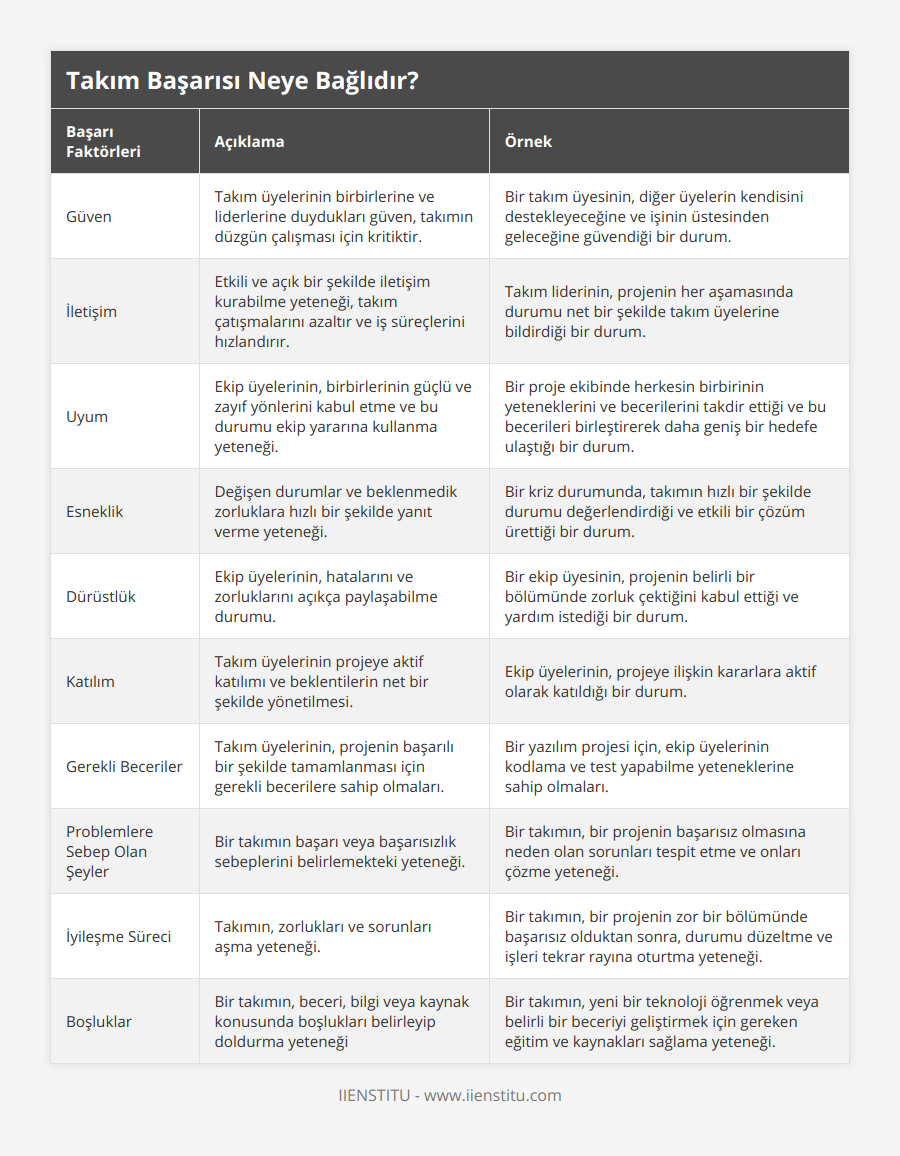 Güven, Takım üyelerinin birbirlerine ve liderlerine duydukları güven, takımın düzgün çalışması için kritiktir, Bir takım üyesinin, diğer üyelerin kendisini destekleyeceğine ve işinin üstesinden geleceğine güvendiği bir durum, İletişim, Etkili ve açık bir şekilde iletişim kurabilme yeteneği, takım çatışmalarını azaltır ve iş süreçlerini hızlandırır, Takım liderinin, projenin her aşamasında durumu net bir şekilde takım üyelerine bildirdiği bir durum, Uyum, Ekip üyelerinin, birbirlerinin güçlü ve zayıf yönlerini kabul etme ve bu durumu ekip yararına kullanma yeteneği, Bir proje ekibinde herkesin birbirinin yeteneklerini ve becerilerini takdir ettiği ve bu becerileri birleştirerek daha geniş bir hedefe ulaştığı bir durum, Esneklik, Değişen durumlar ve beklenmedik zorluklara hızlı bir şekilde yanıt verme yeteneği, Bir kriz durumunda, takımın hızlı bir şekilde durumu değerlendirdiği ve etkili bir çözüm ürettiği bir durum, Dürüstlük, Ekip üyelerinin, hatalarını ve zorluklarını açıkça paylaşabilme durumu, Bir ekip üyesinin, projenin belirli bir bölümünde zorluk çektiğini kabul ettiği ve yardım istediği bir durum, Katılım, Takım üyelerinin projeye aktif katılımı ve beklentilerin net bir şekilde yönetilmesi, Ekip üyelerinin, projeye ilişkin kararlara aktif olarak katıldığı bir durum, Gerekli Beceriler, Takım üyelerinin, projenin başarılı bir şekilde tamamlanması için gerekli becerilere sahip olmaları, Bir yazılım projesi için, ekip üyelerinin kodlama ve test yapabilme yeteneklerine sahip olmaları, Problemlere Sebep Olan Şeyler, Bir takımın başarı veya başarısızlık sebeplerini belirlemekteki yeteneği, Bir takımın, bir projenin başarısız olmasına neden olan sorunları tespit etme ve onları çözme yeteneği, İyileşme Süreci, Takımın, zorlukları ve sorunları aşma yeteneği, Bir takımın, bir projenin zor bir bölümünde başarısız olduktan sonra, durumu düzeltme ve işleri tekrar rayına oturtma yeteneği, Boşluklar, Bir takımın, beceri, bilgi veya kaynak konusunda boşlukları belirleyip doldurma yeteneği, Bir takımın, yeni bir teknoloji öğrenmek veya belirli bir beceriyi geliştirmek için gereken eğitim ve kaynakları sağlama yeteneği