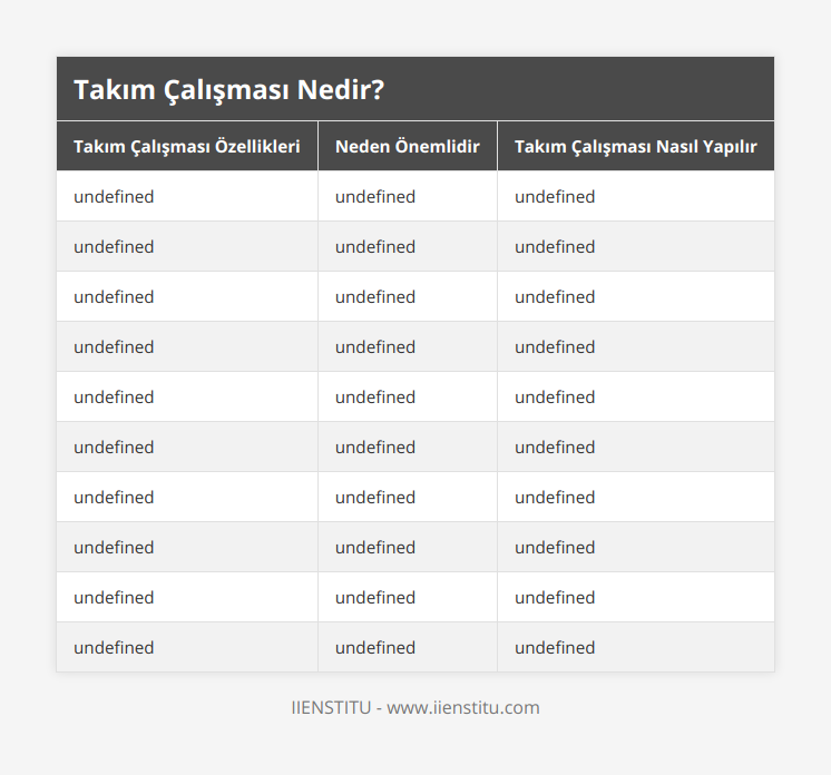 Aynı amaca hitap etmek, Kişiler aynı yöne doğru koşarlarsa başarı sağlarlar, Takımın amacından sapmaması için proje verimliliği düşünülmeli, Kurallar başta belirlenmeli, Kurallar en başta ve açık belirlenirse iletişim daha sağlıklı olur, Eşit ve adil bir görev ve sorumluluk dağılımı yapılmalı, Gelişim planı oluşturulmalı, Takımın amaca ne kadar sürede ulaşacağı belirlenir, Projede tamamladığınız ya da takıldığınız yerler düzenli olarak paylaşılmalı, Verimli olacak takım üyeleri belirlenmeli, Takımın hali hazırda devam eden görevlerini aksatmayacak şekilde konumlandırılmalı, Herkese eşit söz hakkı tanınmalıdır, Görevler eşit şekilde dağıtılmalı, Herkese eşit davranılmalı ve altından kalkamayacağı görevler verilmemeli, Herkesin taşın altına elini koyması sağlanmalıdır, Uyumlu olmalı, Takımı ileriye taşıyacak unsurlardan uyumlu olmasıdır, Takım ruhunu yakalamak adına yemekler ve geziler düzenlenebilir, Farklı görüşler olmalı, Farklı görüşlere sahip kişiler takımın hedefine kısa sürede ulaşmasını sağlar, Takım içerisinde herkese eşit davranılmalı ve söz hakkı tanınmalıdır, Doğru takım liderliği, Liderlik, takımın hedefine ulaşması konusunda kritik öneme sahiptir, Lider, takım üyelerinin tüm özelliklerinin farkında olarak hareket etmelidir, Sağlıklı çalışma ilişkileri, Üyeler arasında sağlıklı çalışma ilişkilerinin kurulması önemlidir, Takım organizasyonundaki doğru süreçler, projeye ve şirkete bağlılılığı artırır, Problemlerin takım olarak çözülmesi, Takım içi kuvvetli ilişkiler sorunları çözmede başarı sağlar, Problemlerin çözümünde iletişimin kuvvetli olmasına bağlıdır