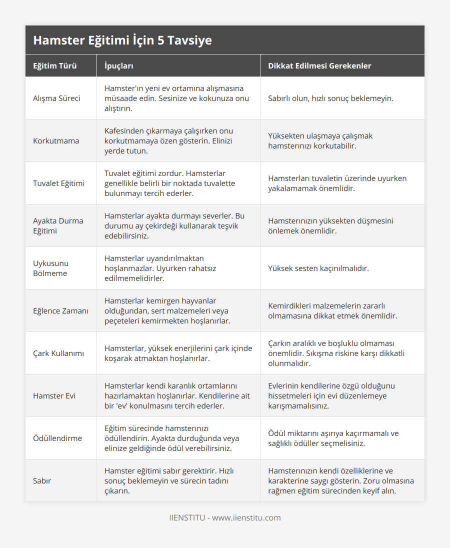 Alışma Süreci, Hamster'ın yeni ev ortamına alışmasına müsaade edin Sesinize ve kokunuza onu alıştırın, Sabırlı olun, hızlı sonuç beklemeyin, Korkutmama, Kafesinden çıkarmaya çalışırken onu korkutmamaya özen gösterin Elinizi yerde tutun, Yüksekten ulaşmaya çalışmak hamsterınızı korkutabilir, Tuvalet Eğitimi, Tuvalet eğitimi zordur Hamsterlar genellikle belirli bir noktada tuvalette bulunmayı tercih ederler, Hamsterları tuvaletin üzerinde uyurken yakalamamak önemlidir, Ayakta Durma Eğitimi, Hamsterlar ayakta durmayı severler Bu durumu ay çekirdeği kullanarak teşvik edebilirsiniz, Hamsterınızın yüksekten düşmesini önlemek önemlidir, Uykusunu Bölmeme, Hamsterlar uyandırılmaktan hoşlanmazlar Uyurken rahatsız edilmemelidirler, Yüksek sesten kaçınılmalıdır, Eğlence Zamanı, Hamsterlar kemirgen hayvanlar olduğundan, sert malzemeleri veya peçeteleri kemirmekten hoşlanırlar, Kemirdikleri malzemelerin zararlı olmamasına dikkat etmek önemlidir, Çark Kullanımı, Hamsterlar, yüksek enerjilerini çark içinde koşarak atmaktan hoşlanırlar, Çarkın aralıklı ve boşluklu olmaması önemlidir Sıkışma riskine karşı dikkatli olunmalıdır, Hamster Evi, Hamsterlar kendi karanlık ortamlarını hazırlamaktan hoşlanırlar Kendilerine ait bir 'ev' konulmasını tercih ederler, Evlerinin kendilerine özgü olduğunu hissetmeleri için evi düzenlemeye karışmamalısınız, Ödüllendirme, Eğitim sürecinde hamsterınızı ödüllendirin Ayakta durduğunda veya elinize geldiğinde ödül verebilirsiniz, Ödül miktarını aşırıya kaçırmamalı ve sağlıklı ödüller seçmelisiniz, Sabır, Hamster eğitimi sabır gerektirir Hızlı sonuç beklemeyin ve sürecin tadını çıkarın, Hamsterınızın kendi özelliklerine ve karakterine saygı gösterin Zoru olmasına rağmen eğitim sürecinden keyif alın