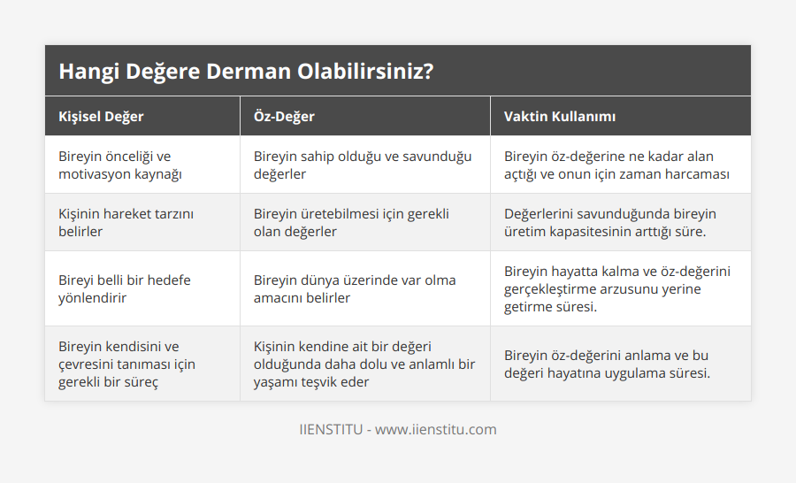 Bireyin önceliği ve motivasyon kaynağı, Bireyin sahip olduğu ve savunduğu değerler, Bireyin öz-değerine ne kadar alan açtığı ve onun için zaman harcaması, Kişinin hareket tarzını belirler, Bireyin üretebilmesi için gerekli olan değerler, Değerlerini savunduğunda bireyin üretim kapasitesinin arttığı süre, Bireyi belli bir hedefe yönlendirir, Bireyin dünya üzerinde var olma amacını belirler, Bireyin hayatta kalma ve öz-değerini gerçekleştirme arzusunu yerine getirme süresi, Bireyin kendisini ve çevresini tanıması için gerekli bir süreç, Kişinin kendine ait bir değeri olduğunda daha dolu ve anlamlı bir yaşamı teşvik eder, Bireyin öz-değerini anlama ve bu değeri hayatına uygulama süresi