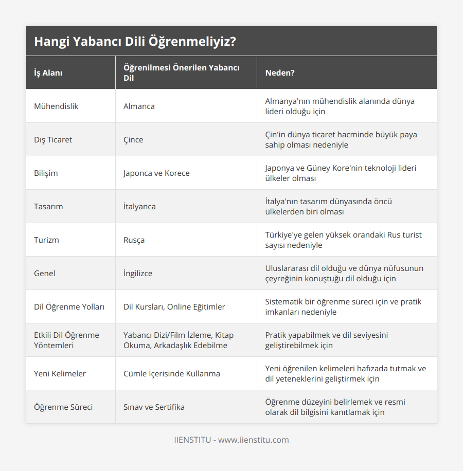 Mühendislik, Almanca, Almanya'nın mühendislik alanında dünya lideri olduğu için, Dış Ticaret, Çince, Çin'in dünya ticaret hacminde büyük paya sahip olması nedeniyle, Bilişim, Japonca ve Korece, Japonya ve Güney Kore'nin teknoloji lideri ülkeler olması, Tasarım, İtalyanca, İtalya'nın tasarım dünyasında öncü ülkelerden biri olması, Turizm, Rusça, Türkiye'ye gelen yüksek orandaki Rus turist sayısı nedeniyle, Genel, İngilizce, Uluslararası dil olduğu ve dünya nüfusunun çeyreğinin konuştuğu dil olduğu için, Dil Öğrenme Yolları, Dil Kursları, Online Eğitimler, Sistematik bir öğrenme süreci için ve pratik imkanları nedeniyle, Etkili Dil Öğrenme Yöntemleri, Yabancı Dizi/Film İzleme, Kitap Okuma, Arkadaşlık Edebilme, Pratik yapabilmek ve dil seviyesini geliştirebilmek için, Yeni Kelimeler, Cümle İçerisinde Kullanma, Yeni öğrenilen kelimeleri hafızada tutmak ve dil yeteneklerini geliştirmek için, Öğrenme Süreci, Sınav ve Sertifika, Öğrenme düzeyini belirlemek ve resmi olarak dil bilgisini kanıtlamak için