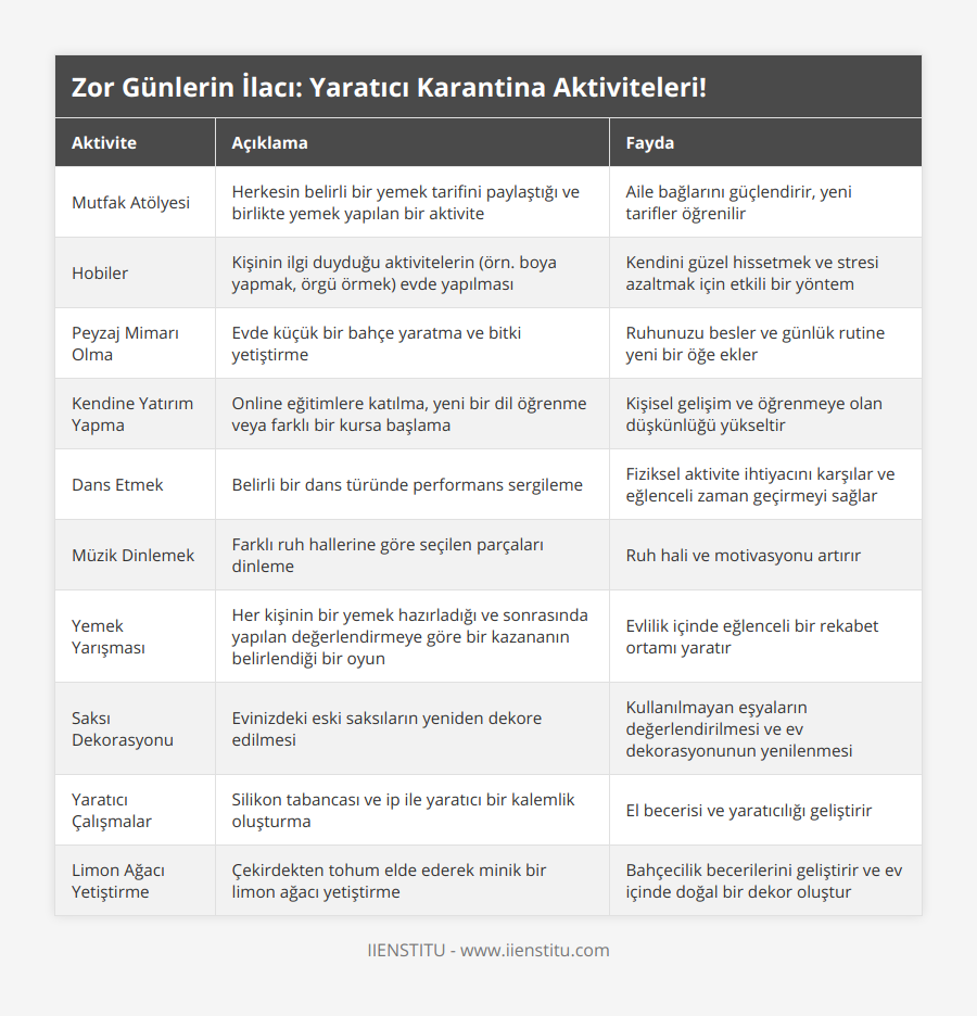 Mutfak Atölyesi, Herkesin belirli bir yemek tarifini paylaştığı ve birlikte yemek yapılan bir aktivite, Aile bağlarını güçlendirir, yeni tarifler öğrenilir, Hobiler, Kişinin ilgi duyduğu aktivitelerin (örn boya yapmak, örgü örmek) evde yapılması, Kendini güzel hissetmek ve stresi azaltmak için etkili bir yöntem, Peyzaj Mimarı Olma, Evde küçük bir bahçe yaratma ve bitki yetiştirme, Ruhunuzu besler ve günlük rutine yeni bir öğe ekler, Kendine Yatırım Yapma, Online eğitimlere katılma, yeni bir dil öğrenme veya farklı bir kursa başlama, Kişisel gelişim ve öğrenmeye olan düşkünlüğü yükseltir, Dans Etmek, Belirli bir dans türünde performans sergileme, Fiziksel aktivite ihtiyacını karşılar ve eğlenceli zaman geçirmeyi sağlar, Müzik Dinlemek, Farklı ruh hallerine göre seçilen parçaları dinleme, Ruh hali ve motivasyonu artırır, Yemek Yarışması, Her kişinin bir yemek hazırladığı ve sonrasında yapılan değerlendirmeye göre bir kazananın belirlendiği bir oyun, Evlilik içinde eğlenceli bir rekabet ortamı yaratır, Saksı Dekorasyonu, Evinizdeki eski saksıların yeniden dekore edilmesi, Kullanılmayan eşyaların değerlendirilmesi ve ev dekorasyonunun yenilenmesi, Yaratıcı Çalışmalar, Silikon tabancası ve ip ile yaratıcı bir kalemlik oluşturma, El becerisi ve yaratıcılığı geliştirir, Limon Ağacı Yetiştirme, Çekirdekten tohum elde ederek minik bir limon ağacı yetiştirme, Bahçecilik becerilerini geliştirir ve ev içinde doğal bir dekor oluştur