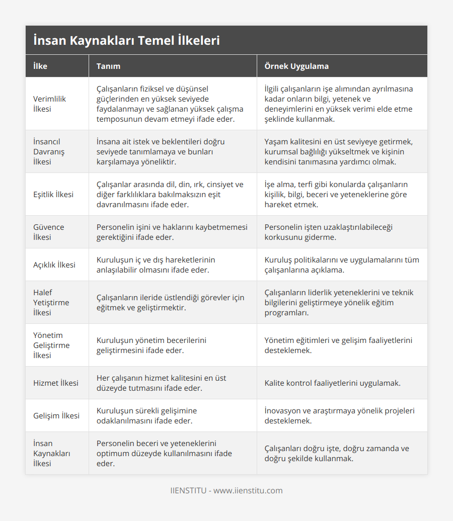 Verimlilik İlkesi, Çalışanların fiziksel ve düşünsel güçlerinden en yüksek seviyede faydalanmayı ve sağlanan yüksek çalışma temposunun devam etmeyi ifade eder, İlgili çalışanların işe alımından ayrılmasına kadar onların bilgi, yetenek ve deneyimlerini en yüksek verimi elde etme şeklinde kullanmak, İnsancıl Davranış İlkesi, İnsana ait istek ve beklentileri doğru seviyede tanımlamaya ve bunları karşılamaya yöneliktir, Yaşam kalitesini en üst seviyeye getirmek, kurumsal bağlılığı yükseltmek ve kişinin kendisini tanımasına yardımcı olmak, Eşitlik İlkesi, Çalışanlar arasında dil, din, ırk, cinsiyet ve diğer farklılıklara bakılmaksızın eşit davranılmasını ifade eder, İşe alma, terfi gibi konularda çalışanların kişilik, bilgi, beceri ve yeteneklerine göre hareket etmek, Güvence İlkesi, Personelin işini ve haklarını kaybetmemesi gerektiğini ifade eder, Personelin işten uzaklaştırılabileceği korkusunu giderme, Açıklık İlkesi, Kuruluşun iç ve dış hareketlerinin anlaşılabilir olmasını ifade eder, Kuruluş politikalarını ve uygulamalarını tüm çalışanlarına açıklama, Halef Yetiştirme İlkesi, Çalışanların ileride üstlendiği görevler için eğitmek ve geliştirmektir, Çalışanların liderlik yeteneklerini ve teknik bilgilerini geliştirmeye yönelik eğitim programları, Yönetim Geliştirme İlkesi, Kuruluşun yönetim becerilerini geliştirmesini ifade eder, Yönetim eğitimleri ve gelişim faaliyetlerini desteklemek, Hizmet İlkesi, Her çalışanın hizmet kalitesini en üst düzeyde tutmasını ifade eder, Kalite kontrol faaliyetlerini uygulamak, Gelişim İlkesi, Kuruluşun sürekli gelişimine odaklanılmasını ifade eder, İnovasyon ve araştırmaya yönelik projeleri desteklemek, İnsan Kaynakları İlkesi, Personelin beceri ve yeteneklerini optimum düzeyde kullanılmasını ifade eder, Çalışanları doğru işte, doğru zamanda ve doğru şekilde kullanmak