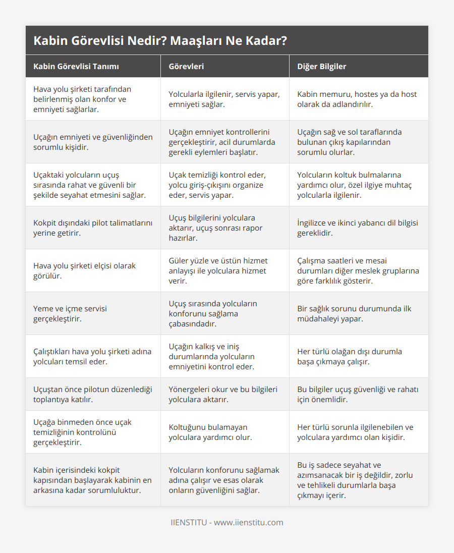 Hava yolu şirketi tarafından belirlenmiş olan konfor ve emniyeti sağlarlar, Yolcularla ilgilenir, servis yapar, emniyeti sağlar, Kabin memuru, hostes ya da host olarak da adlandırılır, Uçağın emniyeti ve güvenliğinden sorumlu kişidir, Uçağın emniyet kontrollerini gerçekleştirir, acil durumlarda gerekli eylemleri başlatır, Uçağın sağ ve sol taraflarında bulunan çıkış kapılarından sorumlu olurlar, Uçaktaki yolcuların uçuş sırasında rahat ve güvenli bir şekilde seyahat etmesini sağlar, Uçak temizliği kontrol eder, yolcu giriş-çıkışını organize eder, servis yapar, Yolcuların koltuk bulmalarına yardımcı olur, özel ilgiye muhtaç yolcularla ilgilenir, Kokpit dışındaki pilot talimatlarını yerine getirir, Uçuş bilgilerini yolculara aktarır, uçuş sonrası rapor hazırlar, İngilizce ve ikinci yabancı dil bilgisi gereklidir, Hava yolu şirketi elçisi olarak görülür, Güler yüzle ve üstün hizmet anlayışı ile yolculara hizmet verir, Çalışma saatleri ve mesai durumları diğer meslek gruplarına göre farklılık gösterir, Yeme ve içme servisi gerçekleştirir, Uçuş sırasında yolcuların konforunu sağlama çabasındadır, Bir sağlık sorunu durumunda ilk müdahaleyi yapar, Çalıştıkları hava yolu şirketi adına yolcuları temsil eder, Uçağın kalkış ve iniş durumlarında yolcuların emniyetini kontrol eder, Her türlü olağan dışı durumla başa çıkmaya çalışır, Uçuştan önce pilotun düzenlediği toplantıya katılır, Yönergeleri okur ve bu bilgileri yolculara aktarır, Bu bilgiler uçuş güvenliği ve rahatı için önemlidir, Uçağa binmeden önce uçak temizliğinin kontrolünü gerçekleştirir, Koltuğunu bulamayan yolculara yardımcı olur, Her türlü sorunla ilgilenebilen ve yolculara yardımcı olan kişidir, Kabin içerisindeki kokpit kapısından başlayarak kabinin en arkasına kadar sorumluluktur, Yolcuların konforunu sağlamak adına çalışır ve esas olarak onların güvenliğini sağlar, Bu iş sadece seyahat ve azımsanacak bir iş değildir, zorlu ve tehlikeli durumlarla başa çıkmayı içerir