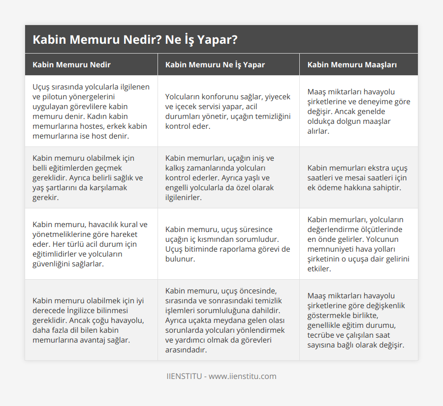 Uçuş sırasında yolcularla ilgilenen ve pilotun yönergelerini uygulayan görevlilere kabin memuru denir Kadın kabin memurlarına hostes, erkek kabin memurlarına ise host denir, Yolcuların konforunu sağlar, yiyecek ve içecek servisi yapar, acil durumları yönetir, uçağın temizliğini kontrol eder, Maaş miktarları havayolu şirketlerine ve deneyime göre değişir Ancak genelde oldukça dolgun maaşlar alırlar, Kabin memuru olabilmek için belli eğitimlerden geçmek gereklidir Ayrıca belirli sağlık ve yaş şartlarını da karşılamak gerekir, Kabin memurları, uçağın iniş ve kalkış zamanlarında yolcuları kontrol ederler Ayrıca yaşlı ve engelli yolcularla da özel olarak ilgilenirler, Kabin memurları ekstra uçuş saatleri ve mesai saatleri için ek ödeme hakkına sahiptir, Kabin memuru, havacılık kural ve yönetmeliklerine göre hareket eder Her türlü acil durum için eğitimlidirler ve yolcuların güvenliğini sağlarlar, Kabin memuru, uçuş süresince uçağın iç kısmından sorumludur Uçuş bitiminde raporlama görevi de bulunur, Kabin memurları, yolcuların değerlendirme ölçütlerinde en önde gelirler Yolcunun memnuniyeti hava yolları şirketinin o uçuşa dair gelirini etkiler, Kabin memuru olabilmek için iyi derecede İngilizce bilinmesi gereklidir Ancak çoğu havayolu, daha fazla dil bilen kabin memurlarına avantaj sağlar, Kabin memuru, uçuş öncesinde, sırasında ve sonrasındaki temizlik işlemleri sorumluluğuna dahildir Ayrıca uçakta meydana gelen olası sorunlarda yolcuları yönlendirmek ve yardımcı olmak da görevleri arasındadır, Maaş miktarları havayolu şirketlerine göre değişkenlik göstermekle birlikte, genellikle eğitim durumu, tecrübe ve çalışılan saat sayısına bağlı olarak değişir